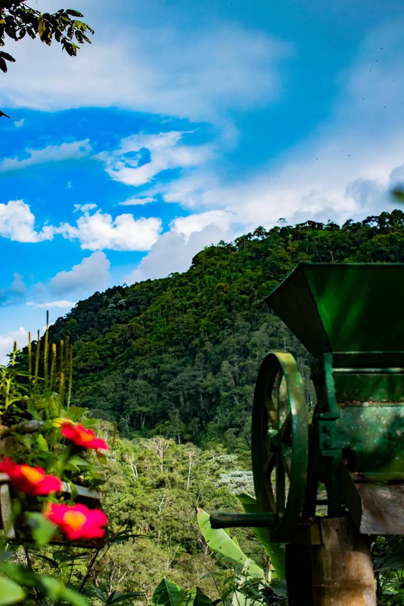 Mountain view in Villa Cristina - Casa Boutique