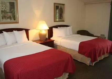 Double Room with Two Double Beds Courtyard View in Quality Inn & Suites Tarpon Springs South
