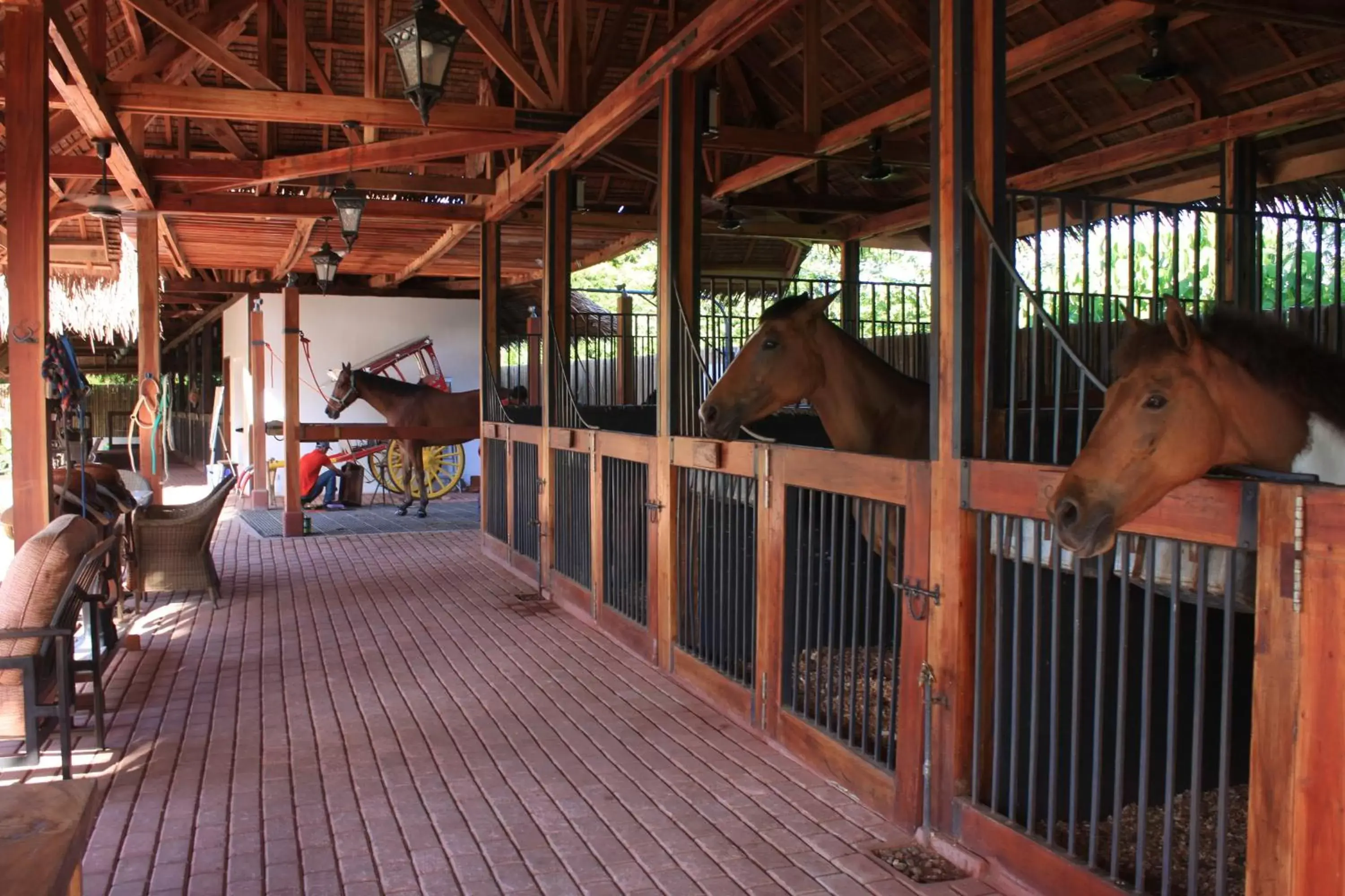 Horse-riding in Donatela Resort and Sanctuary