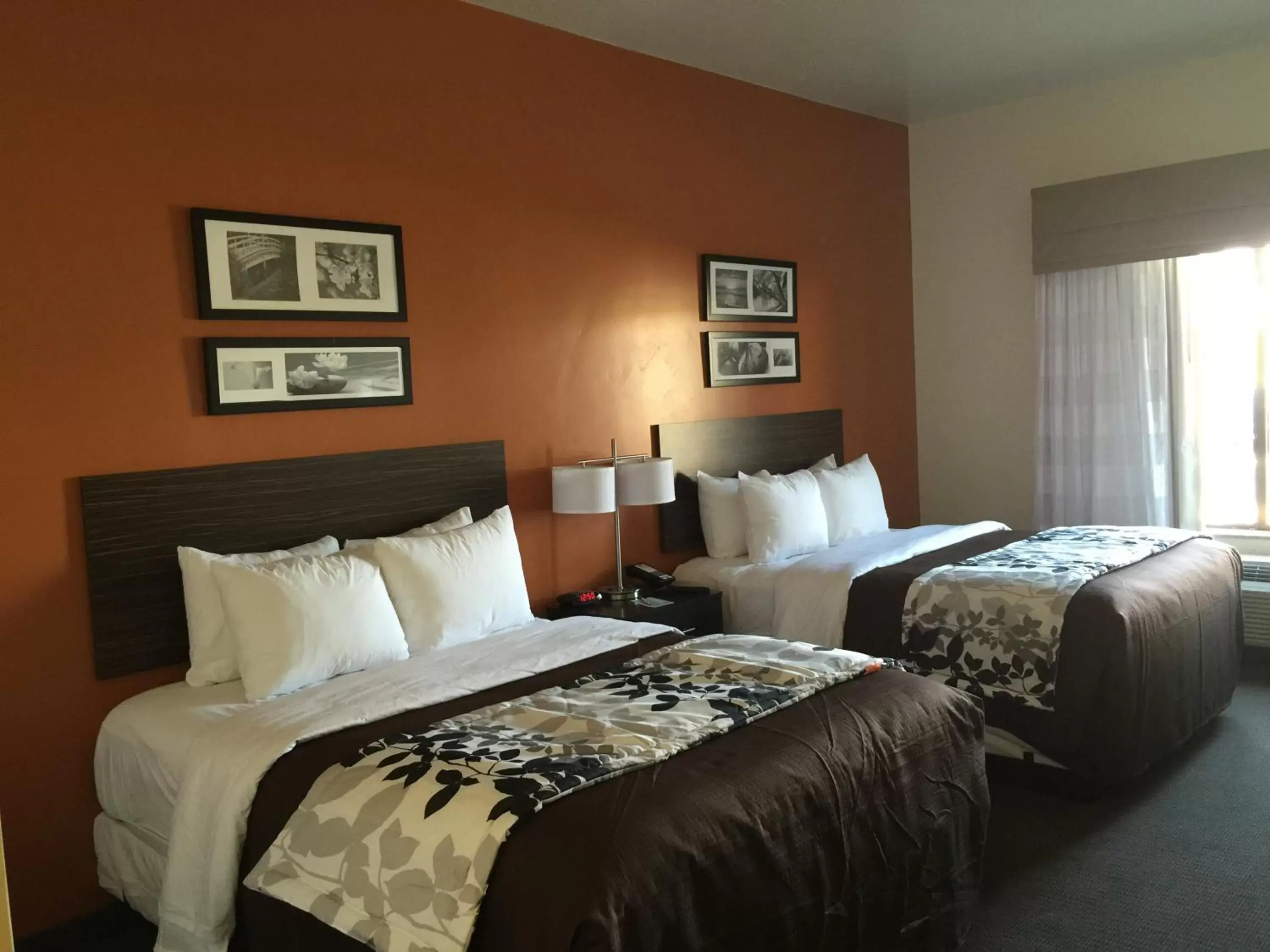 Queen Room with Two Queen Beds - Non Smoking in Sleep Inn & Suites Page at Lake Powell