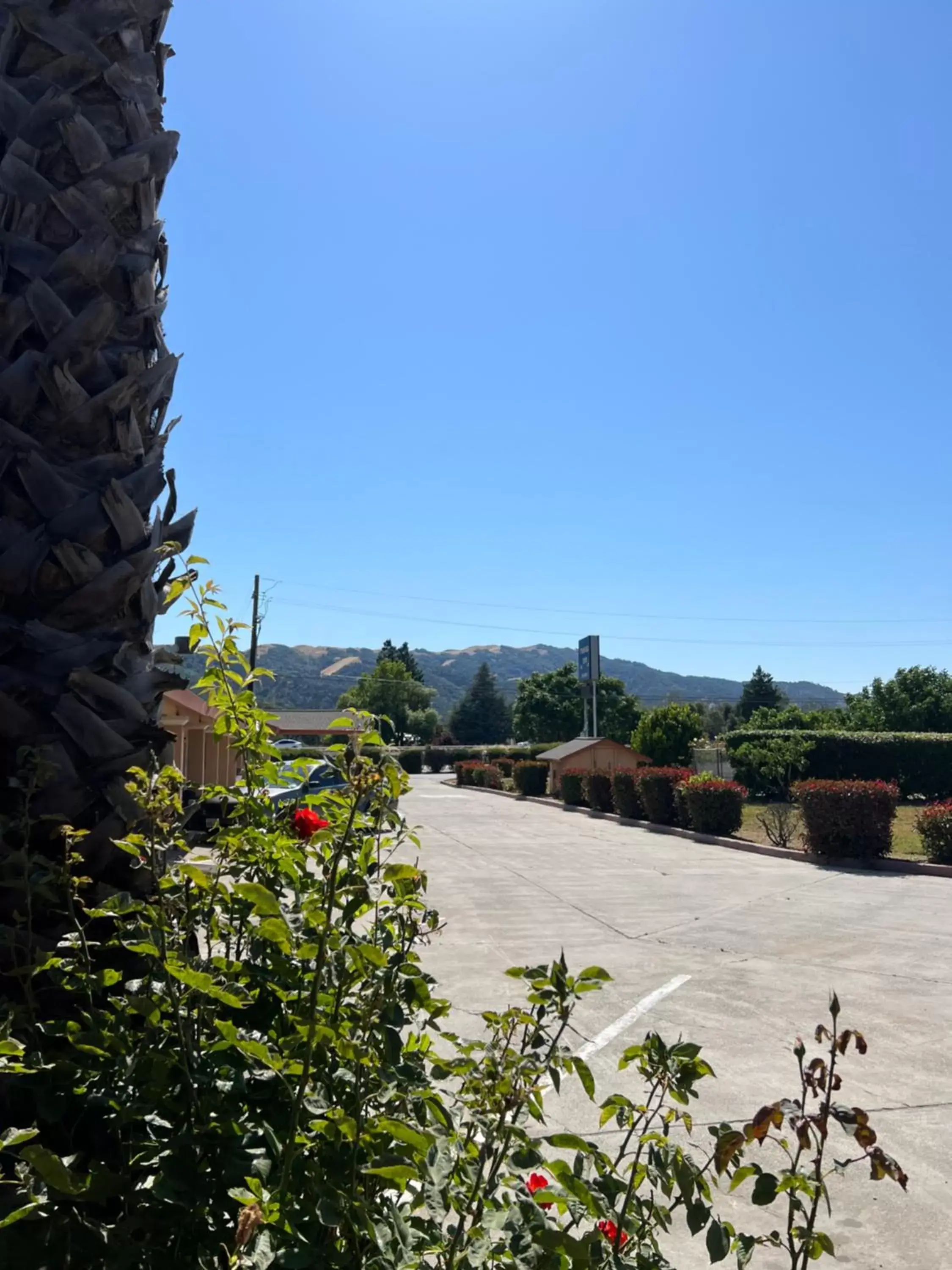 Natural landscape in Travel Inn Gilroy