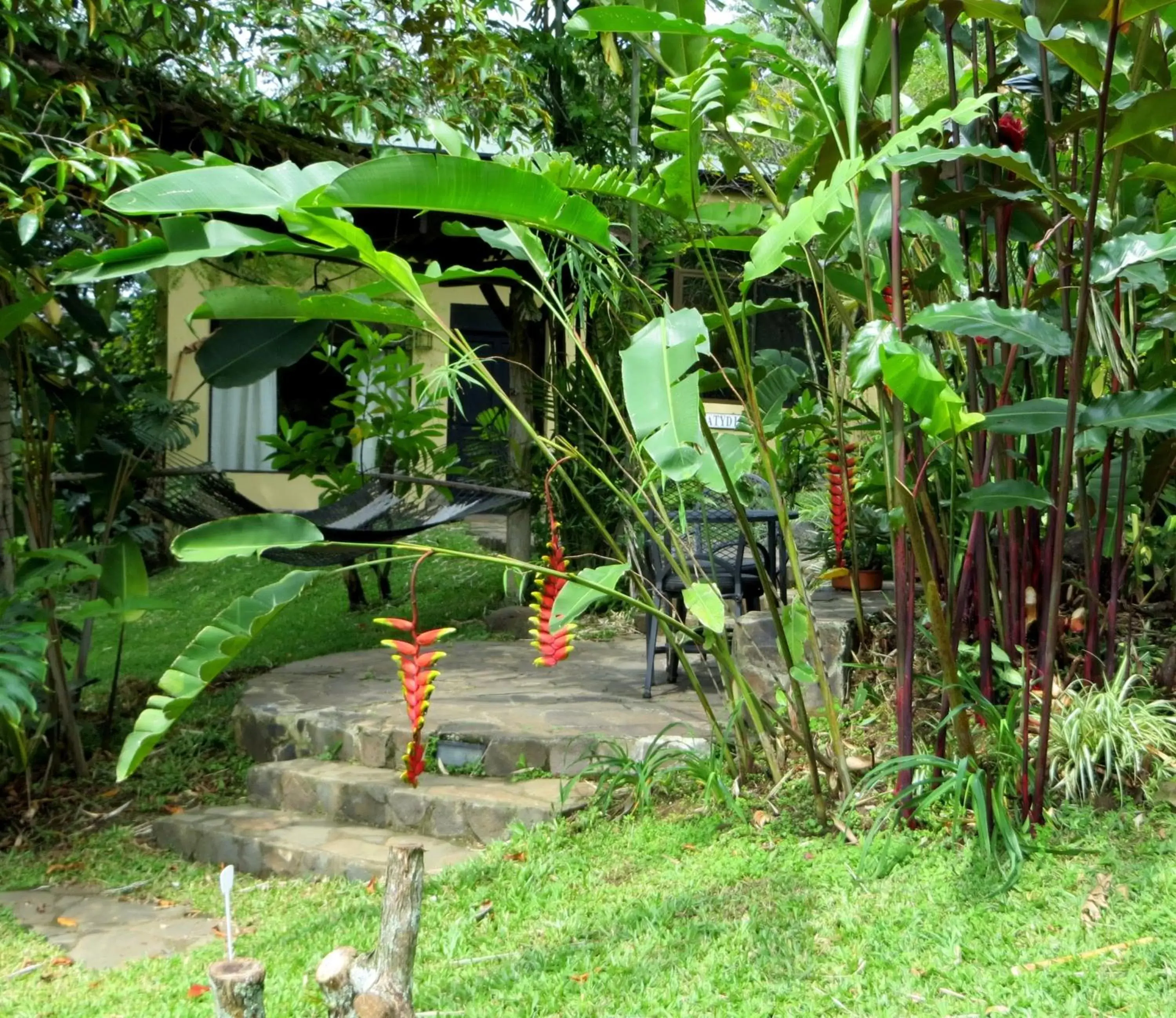 Patio, Garden in Pura Vida Hotel