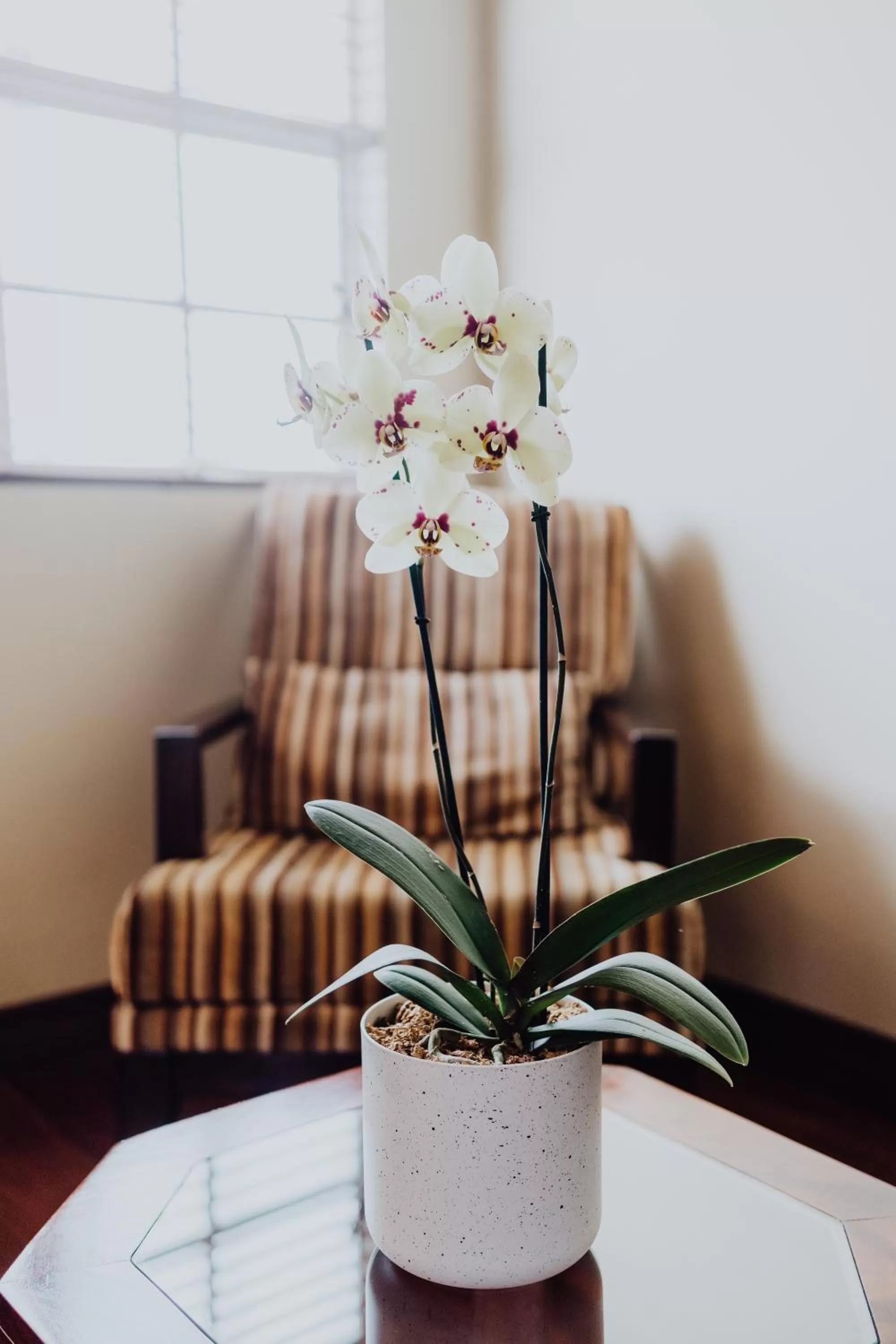 Seating area in Hotel Dunn Inn