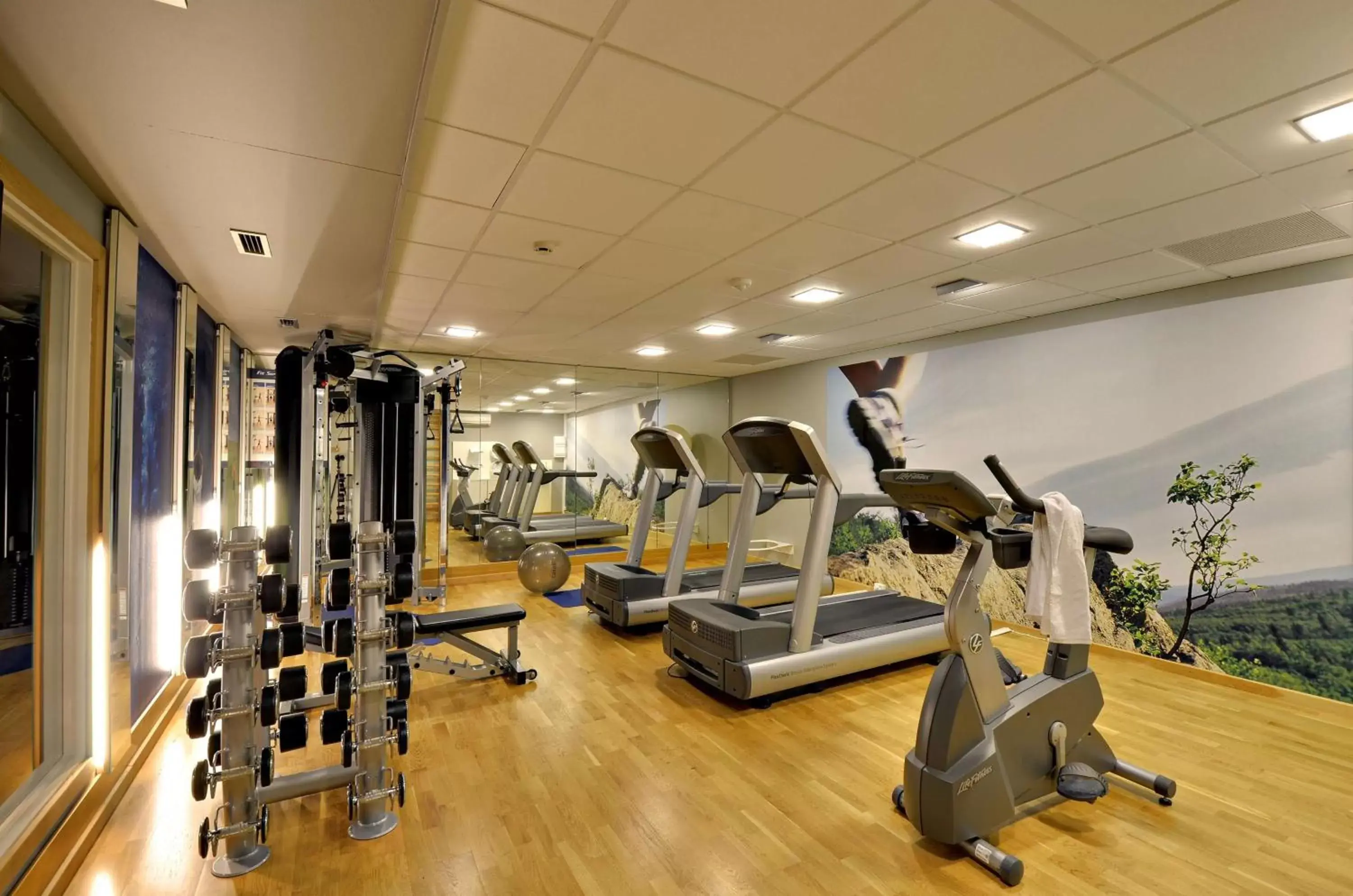 Fitness centre/facilities, Fitness Center/Facilities in Scandic Roskilde Park