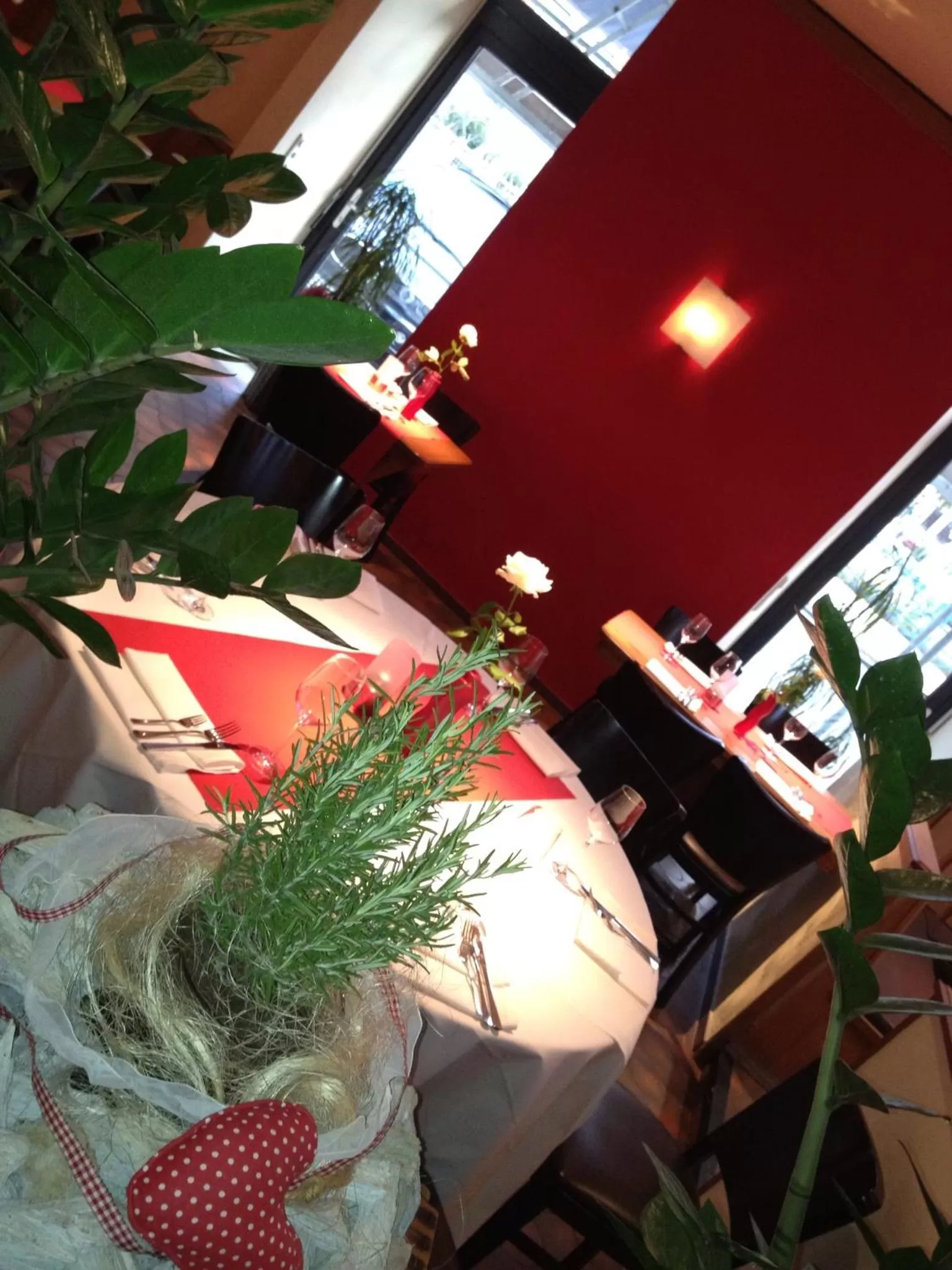 Restaurant/places to eat in Hotel Hoppe