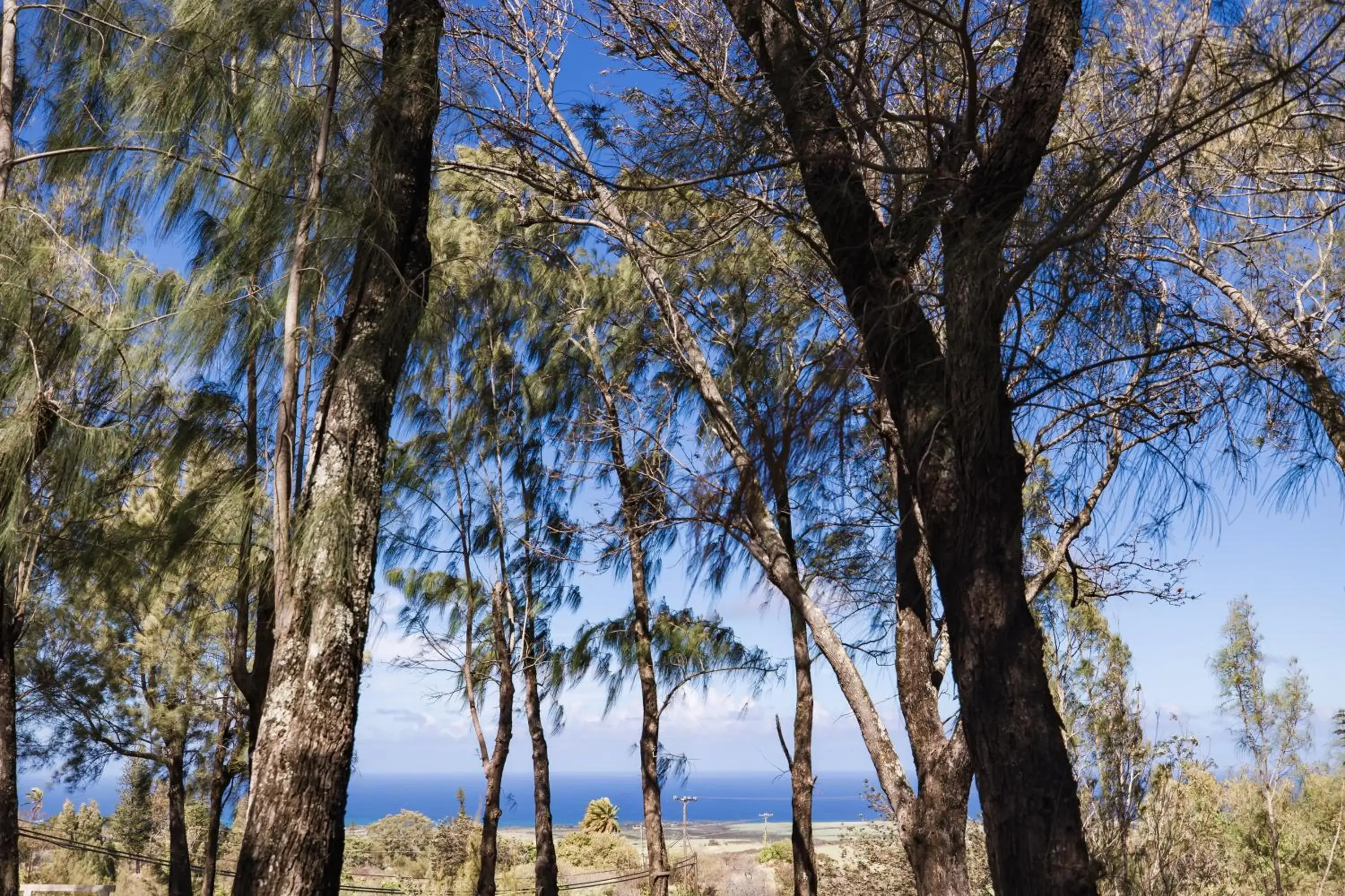 Lumeria Maui, Educational Retreat Center