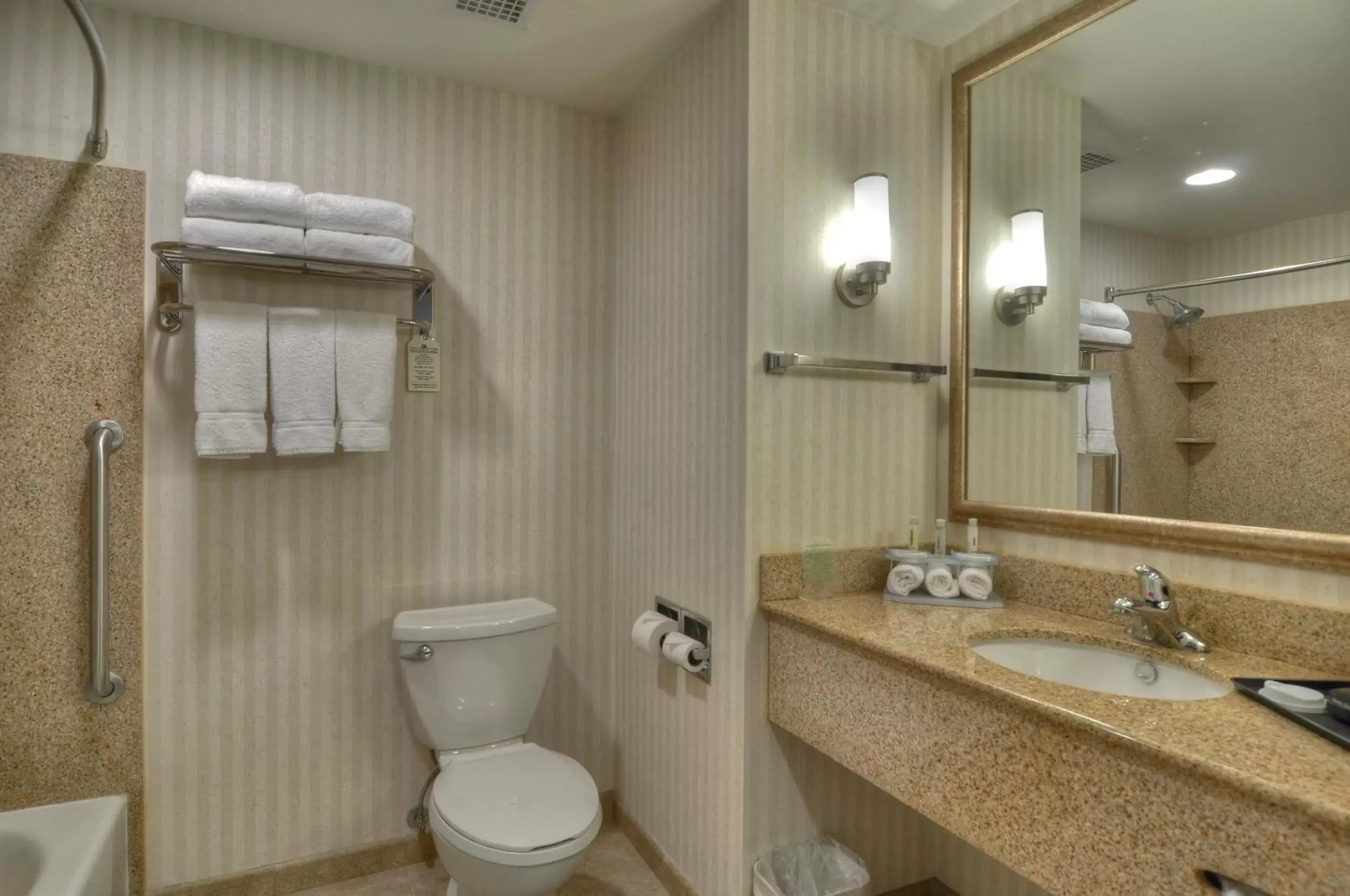 Bathroom in Holiday Inn Express San Diego South - Chula Vista, an IHG Hotel