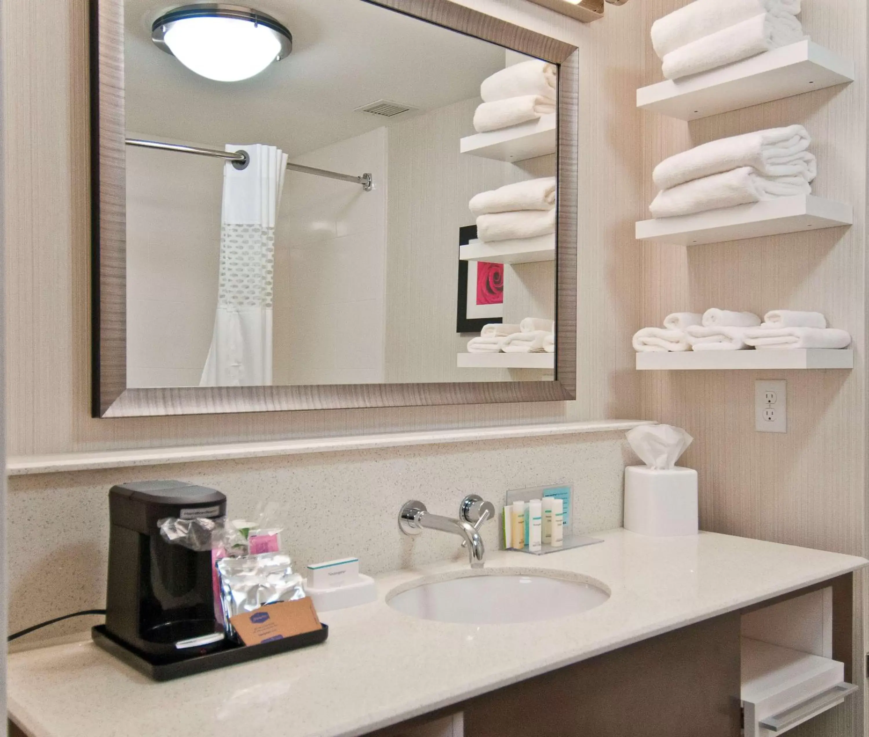 Kitchen or kitchenette, Bathroom in Hampton Inn and Suites Pauls Valley