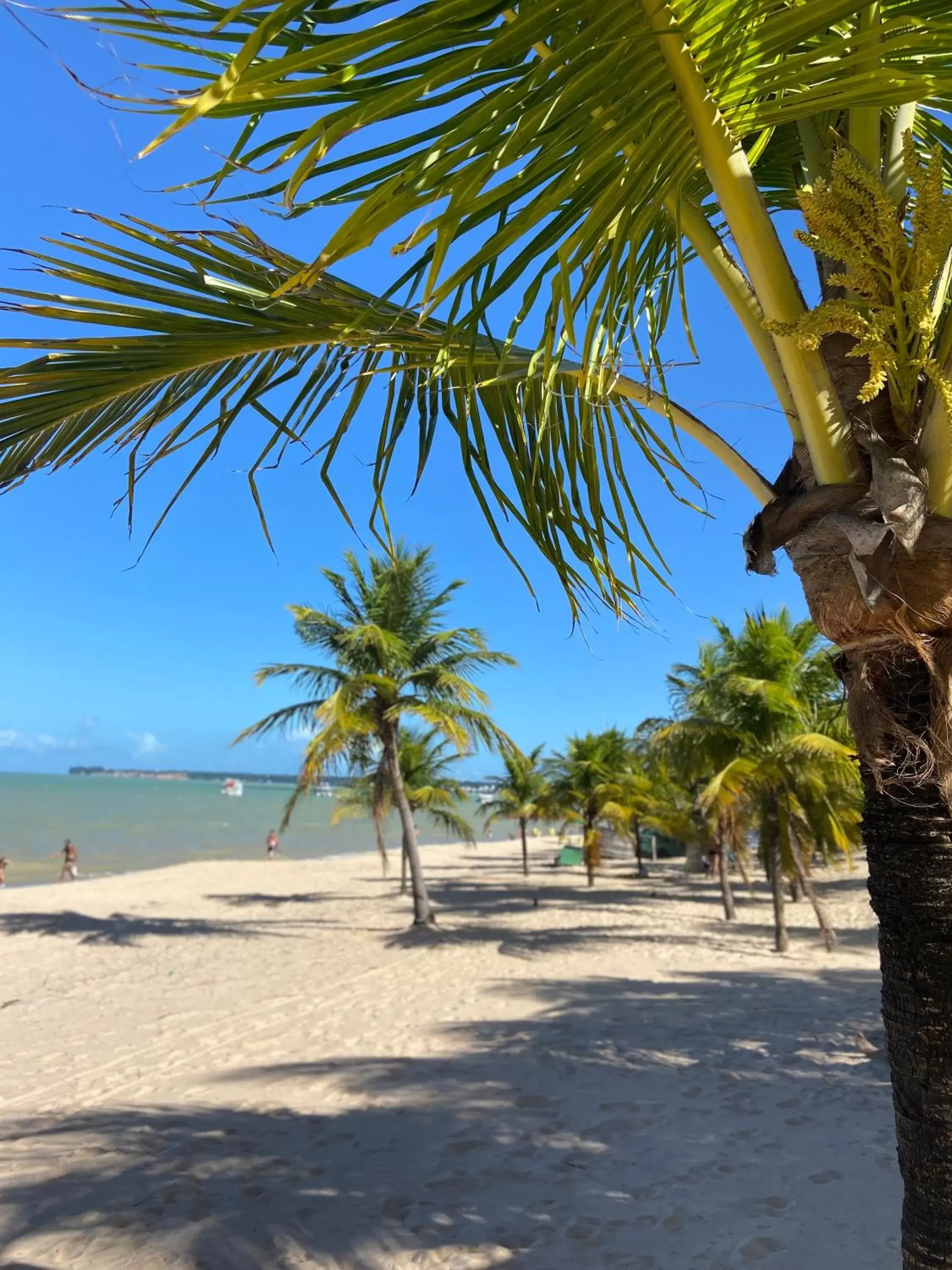 Natural landscape, Beach in Nobile Suítes Tambaú