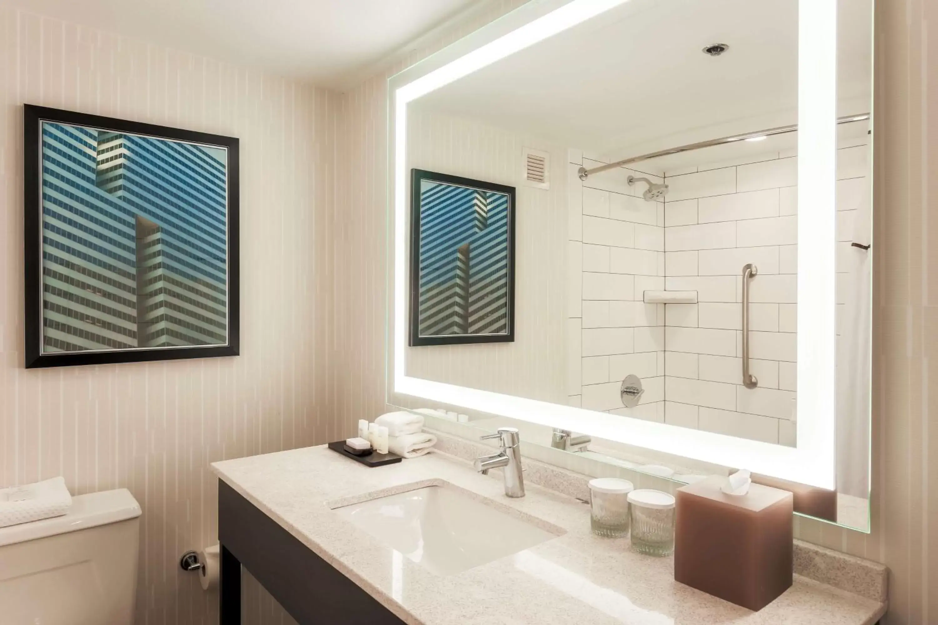 Bathroom in Embassy Suites by Hilton Dallas-Love Field