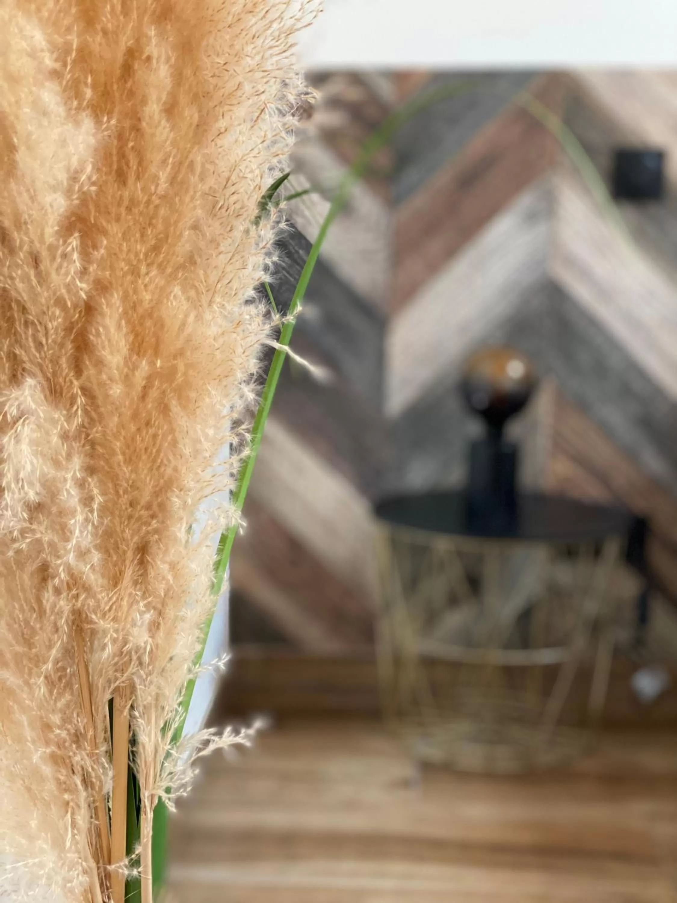 Photo of the whole room in La Villa d'Hélène 2 - Chambres d'hôtes BnB et Appartements - Cluses