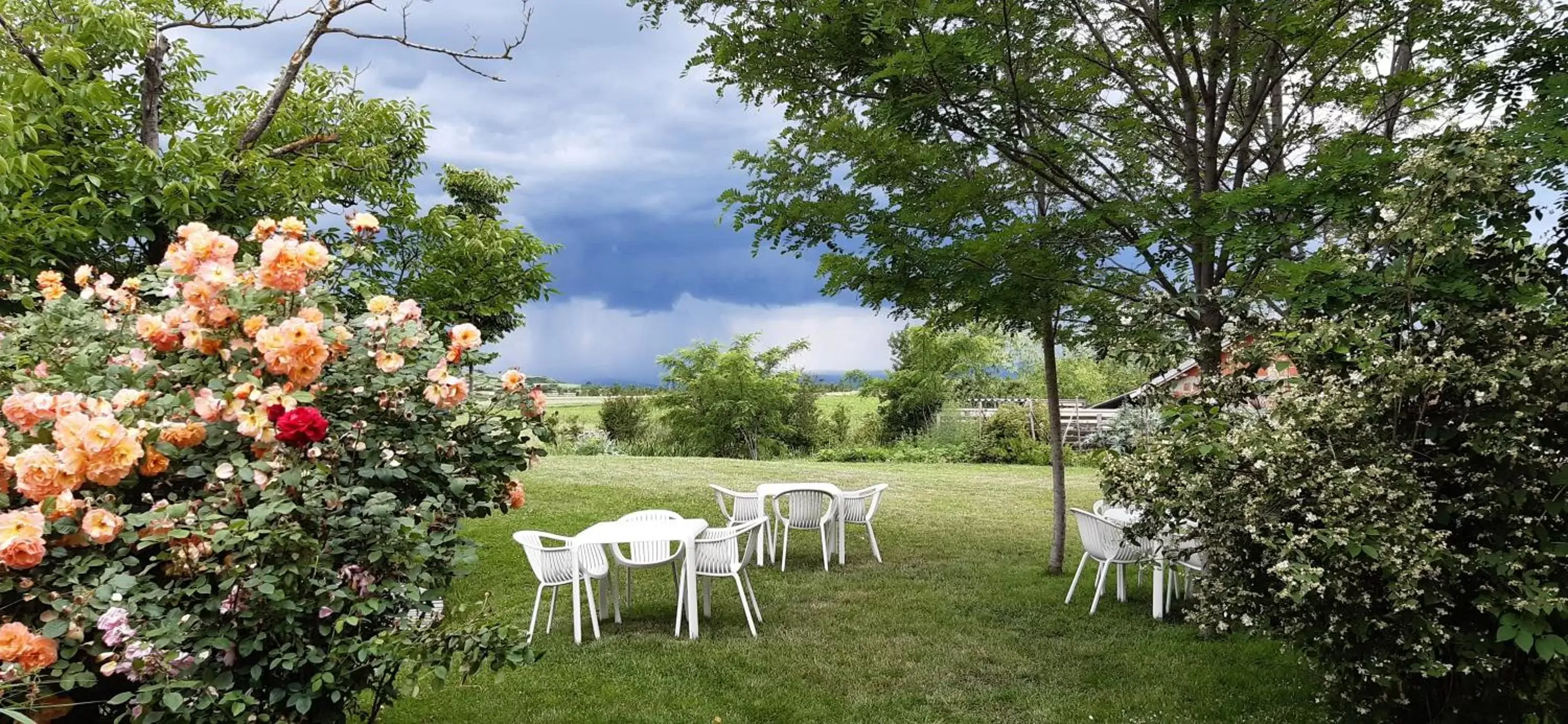 Restaurant/places to eat in Hotel Gracanica Restaurant/places to eat in Hotel Gracanica