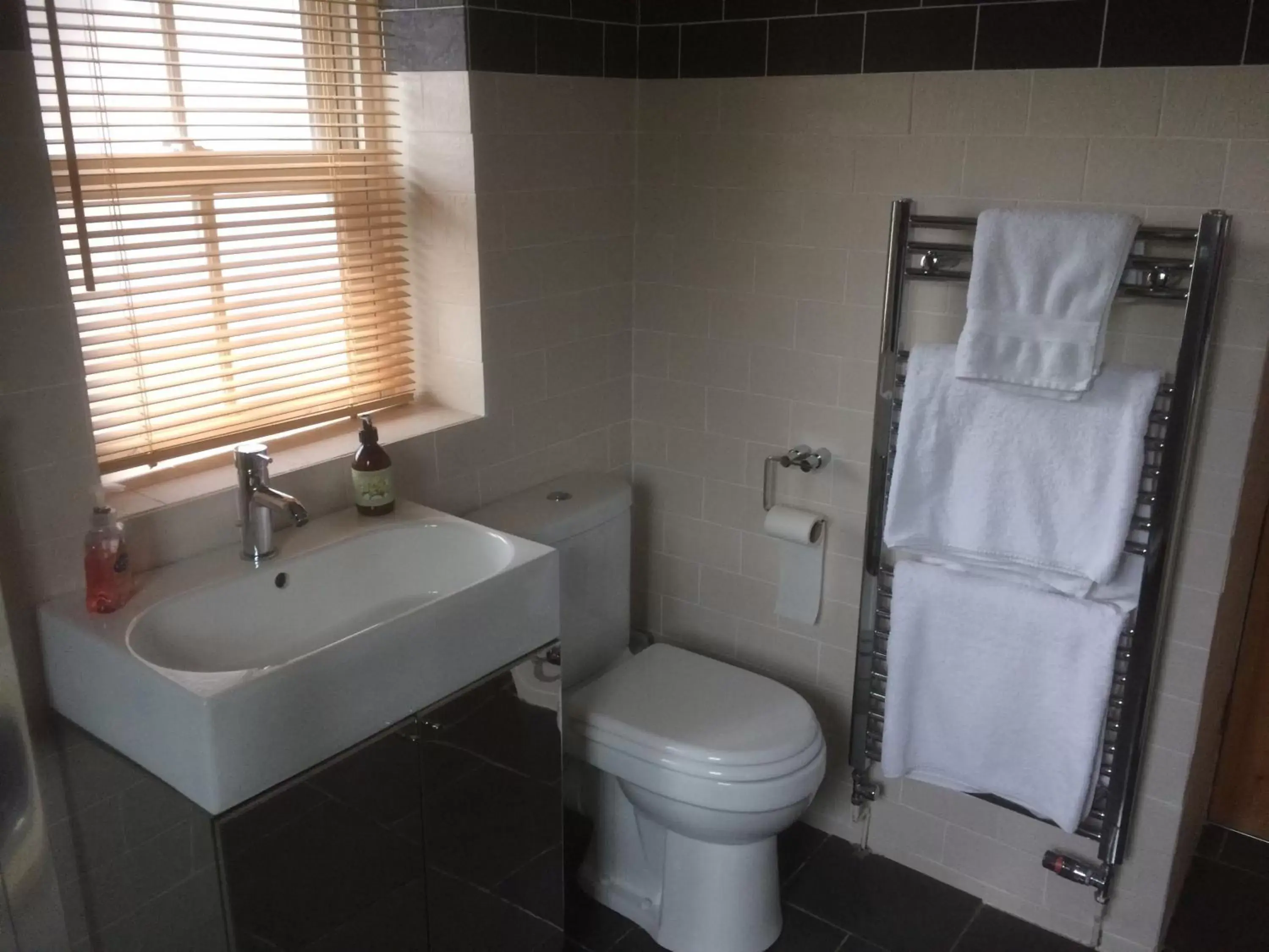 Bathroom in Garth Engan Private Self Contained B&B with Garden Area