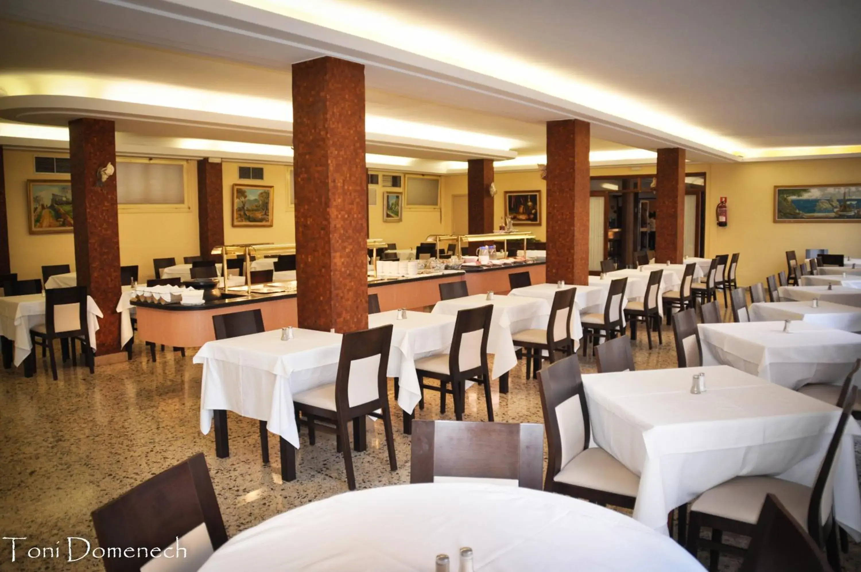 Restaurant/Places to Eat in Hotel Iris