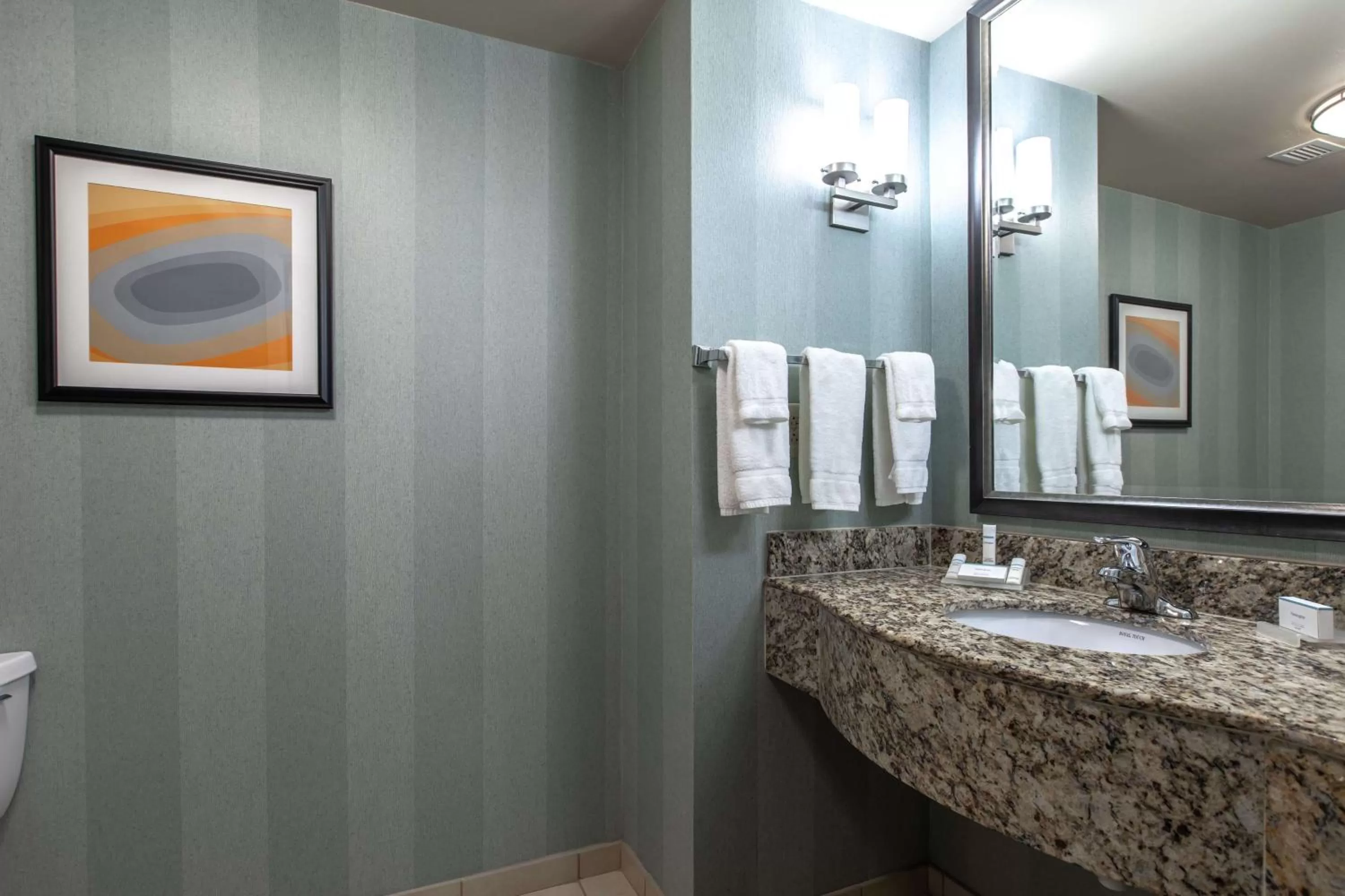 Bathroom in Hilton Garden Inn Lynchburg