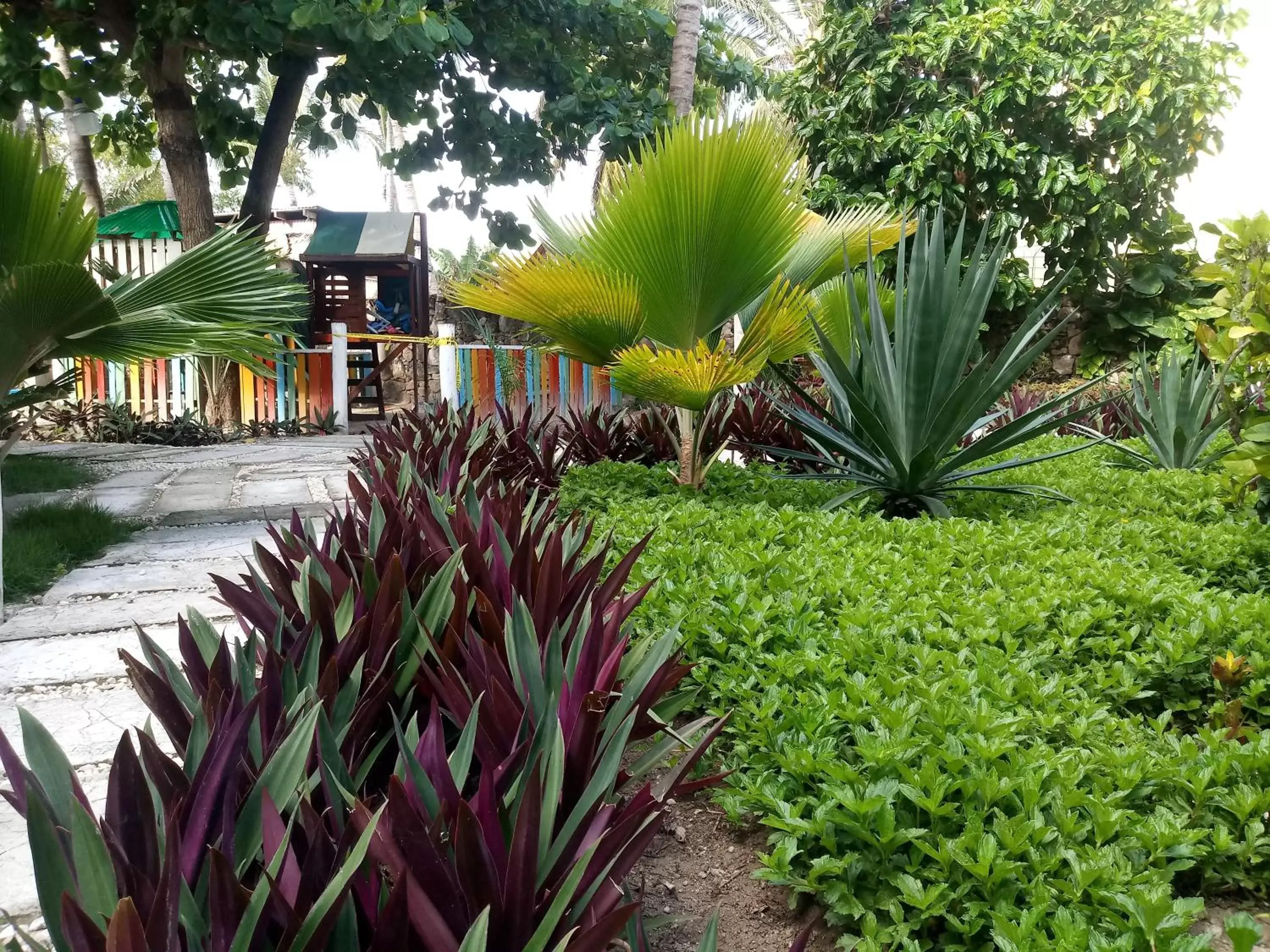 Garden in Riviera Punta Cana Eco Travelers