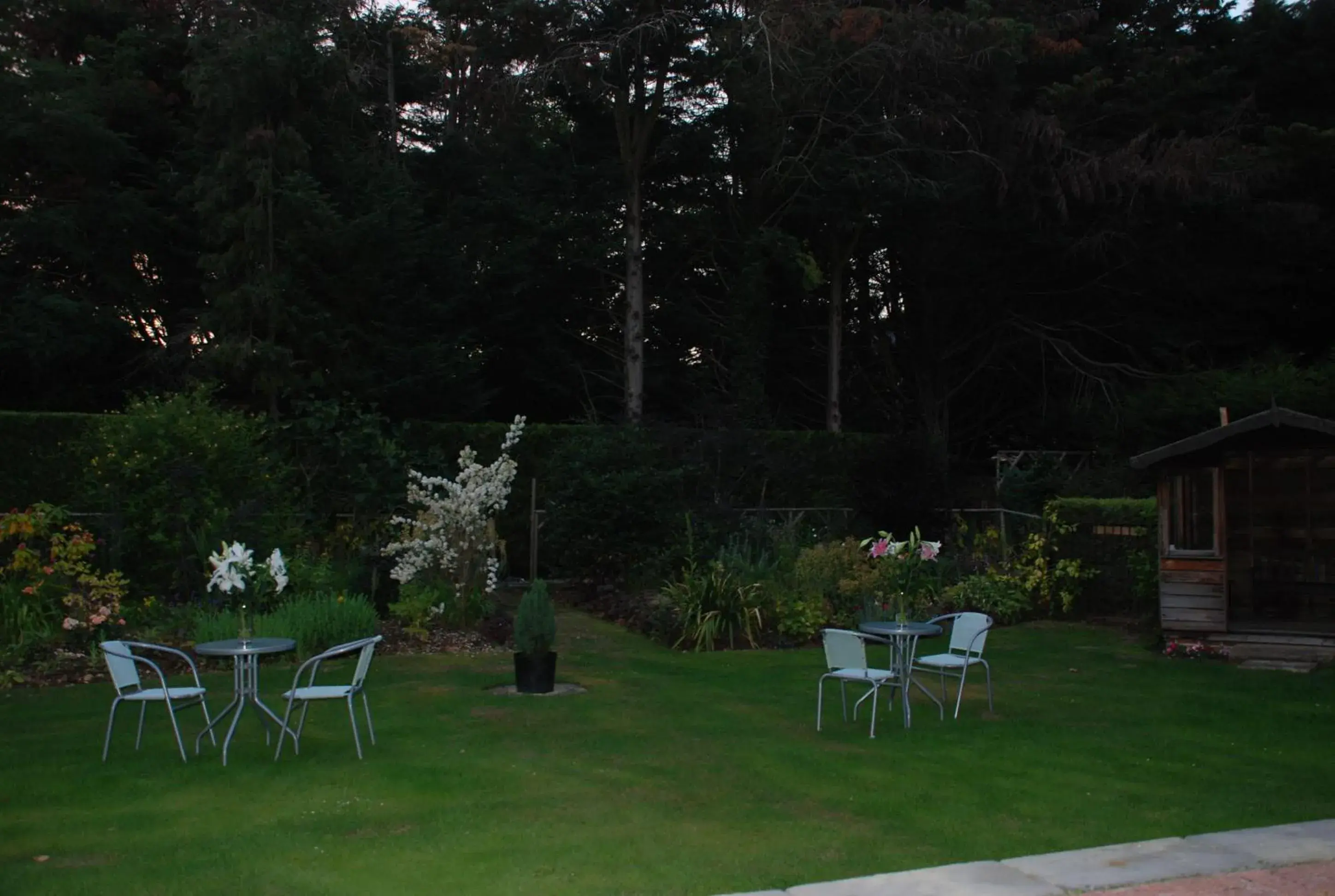 Garden in Beech House Hotel