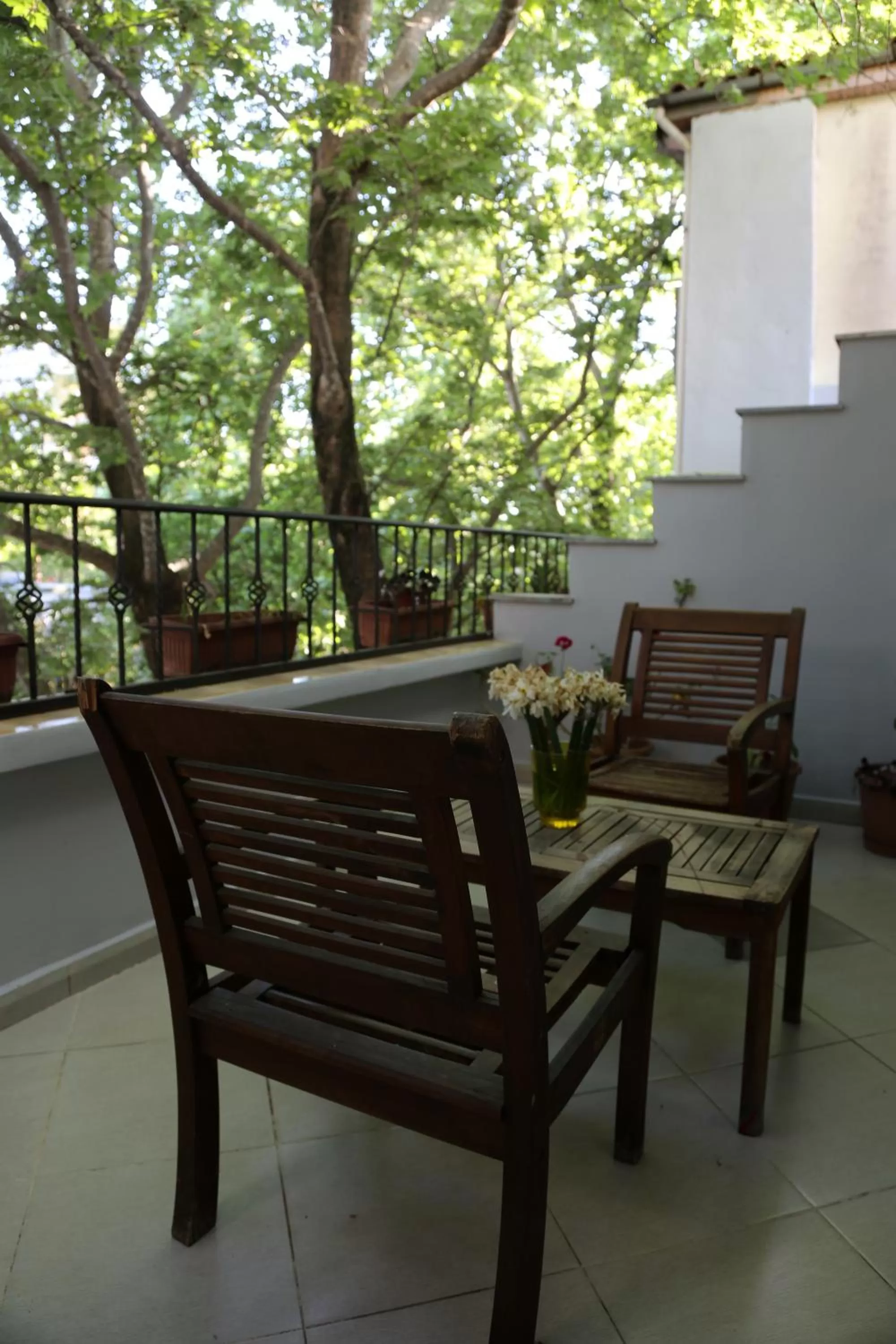 Patio, Balcony/Terrace in Hotel Millenium Tirana
