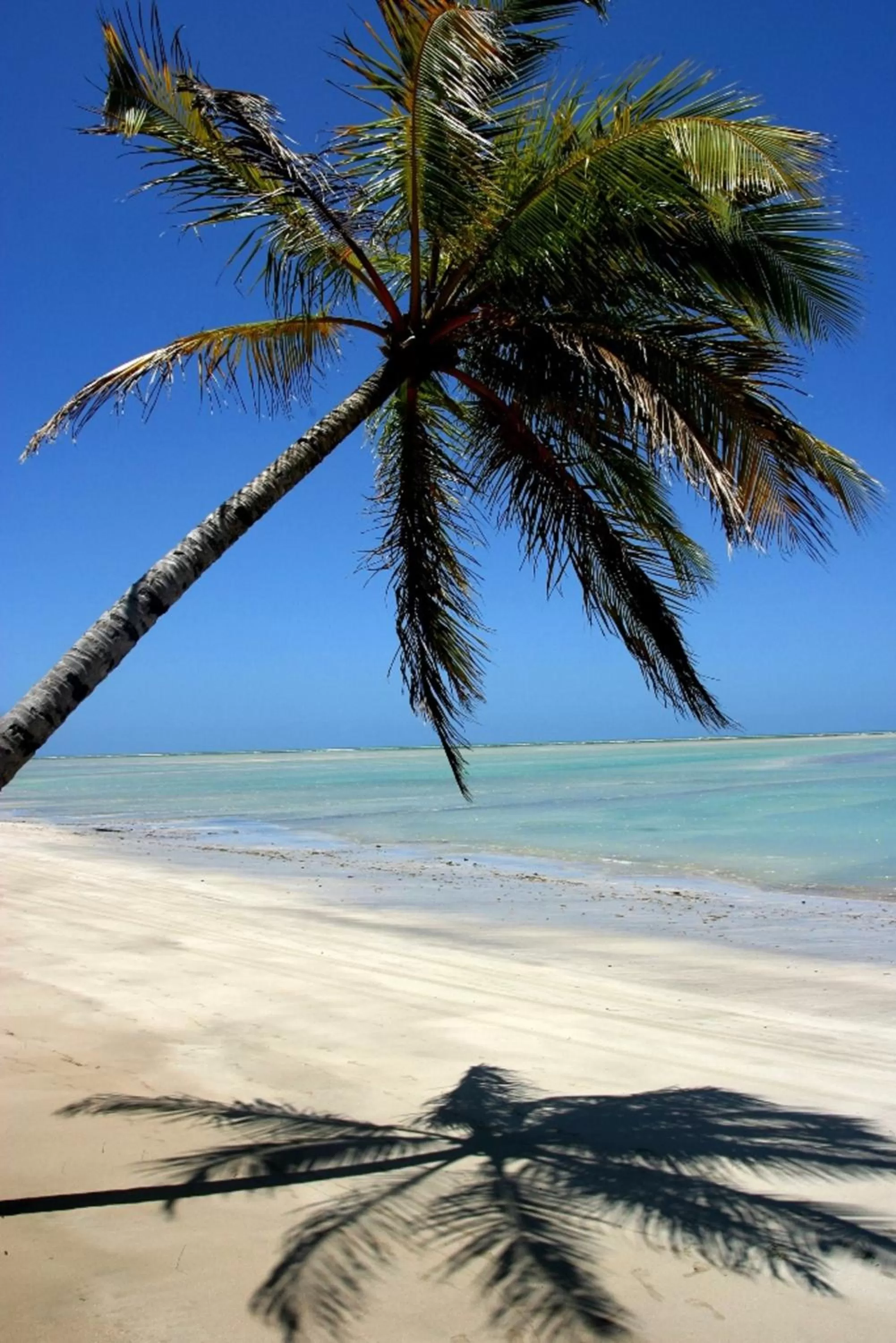 On site in Pousada Mariluz
