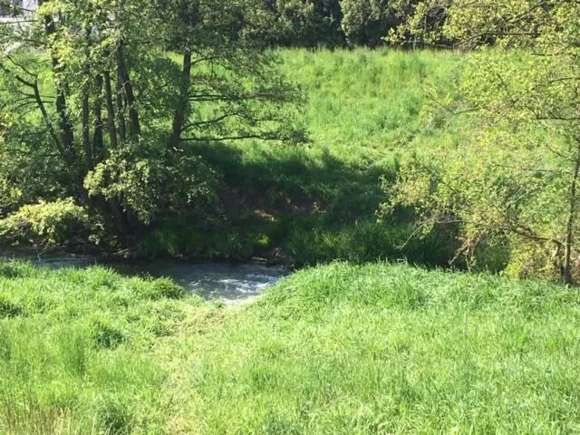 Natural landscape in Pokoje w Starej Karczmie - by Upstairs