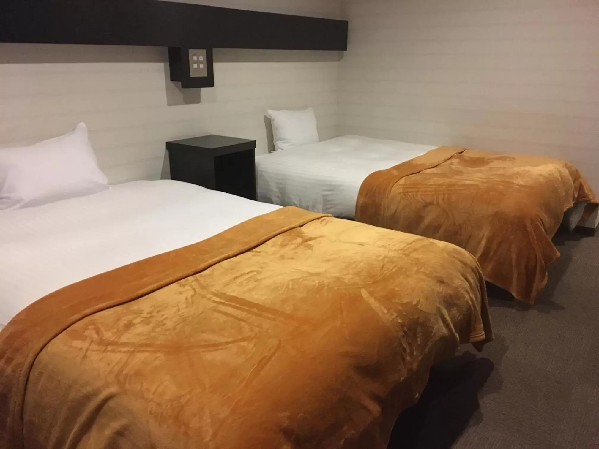 Photo of the whole room, Bed in Green Rich Hotel Hamada Ekimae (Artificial hot spring Futamata Yunohana)