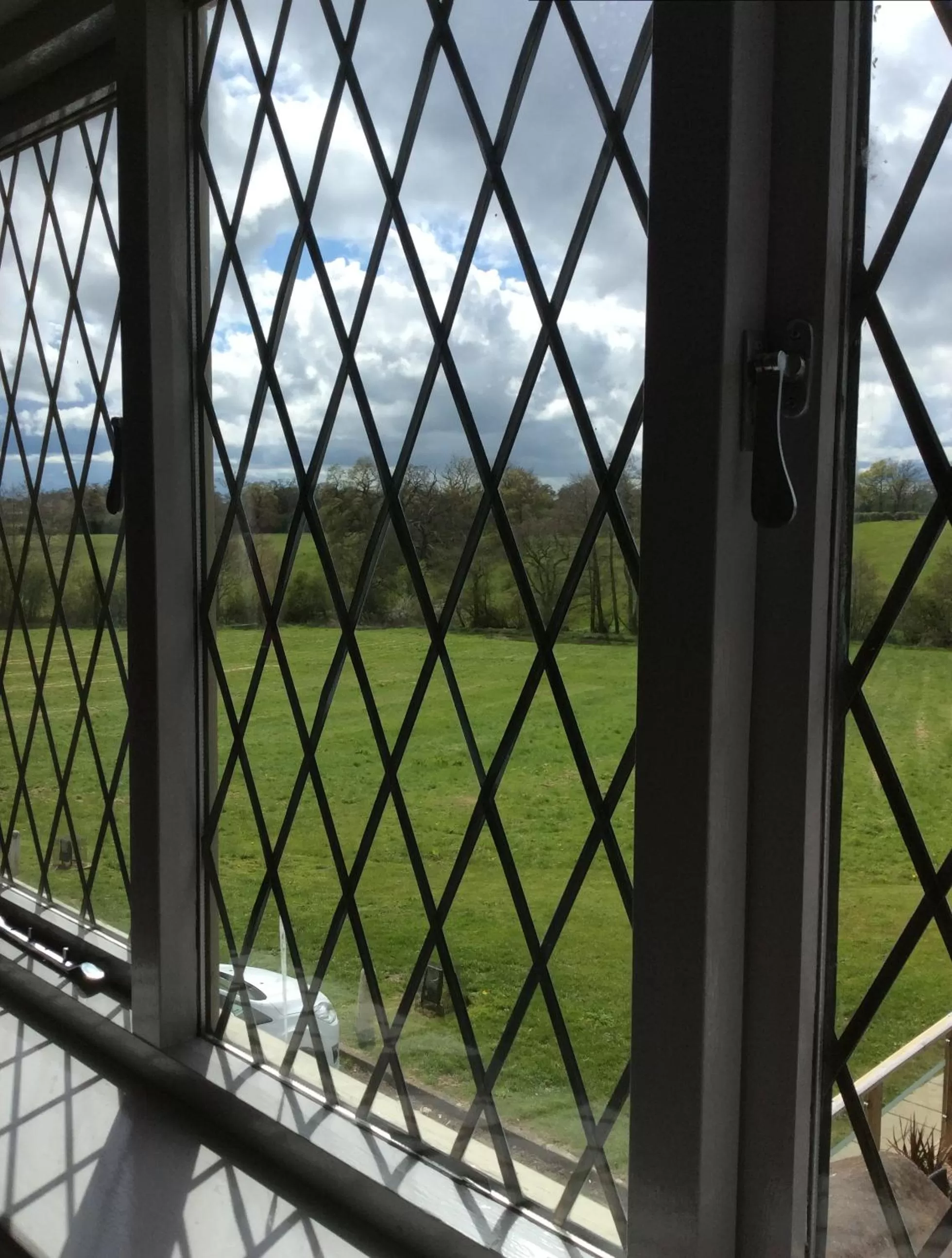 Garden view in The Throckmorton