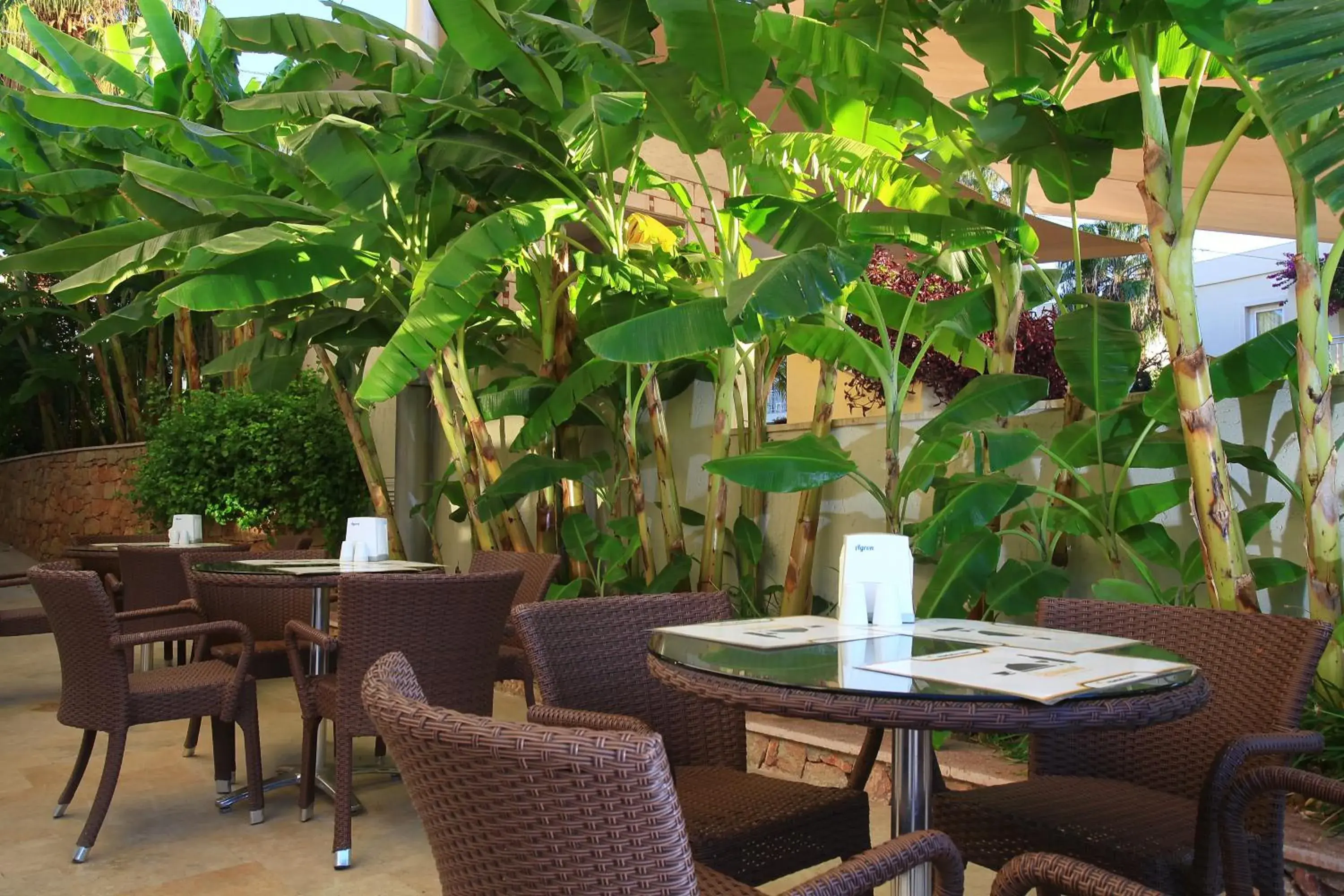 Fitness centre/facilities in Mandarin Resort & Spa Fitness centre/facilities in Mandarin Resort & Spa