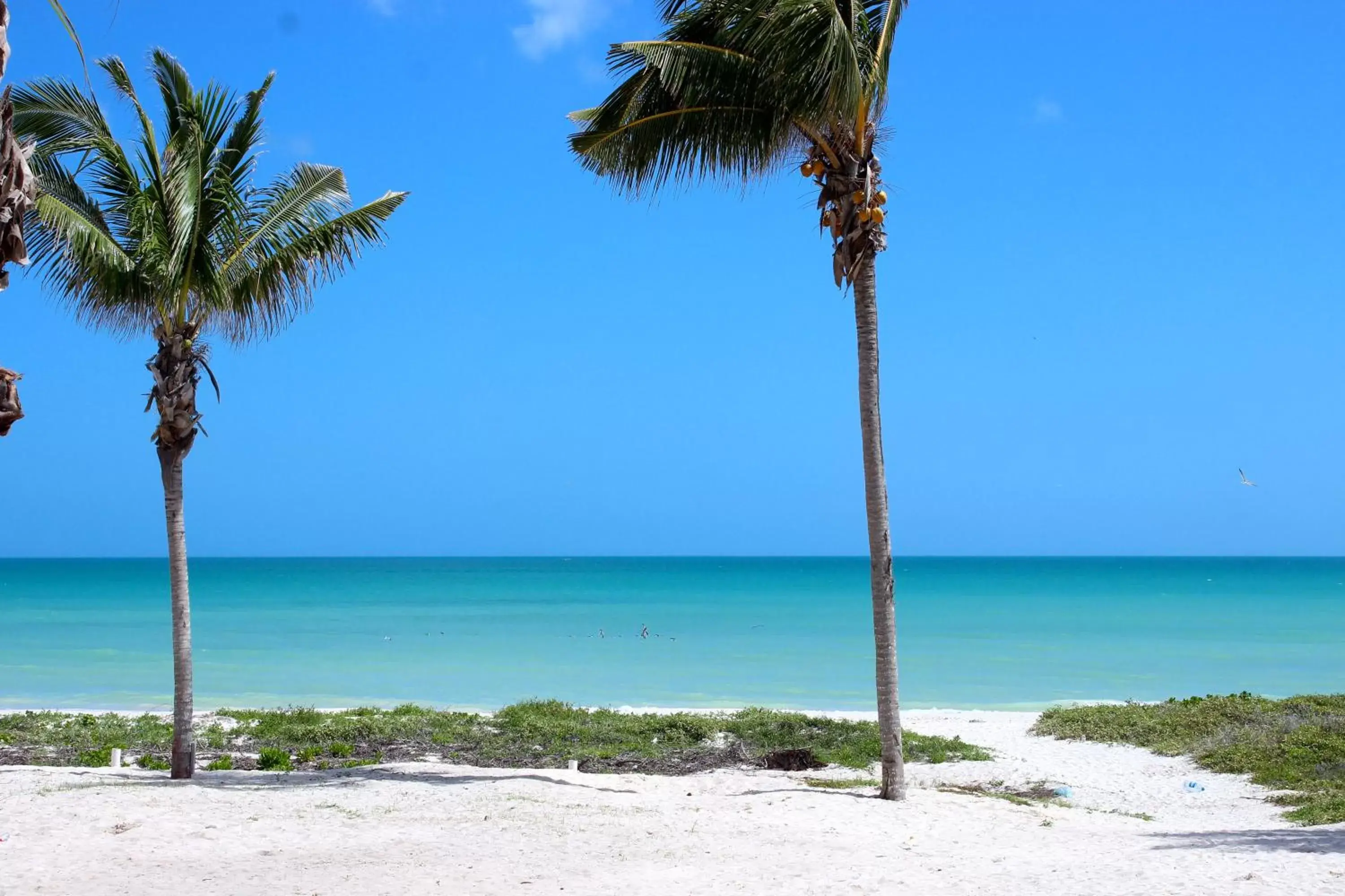 Natural landscape, Beach in Hotel La Casa Cielo