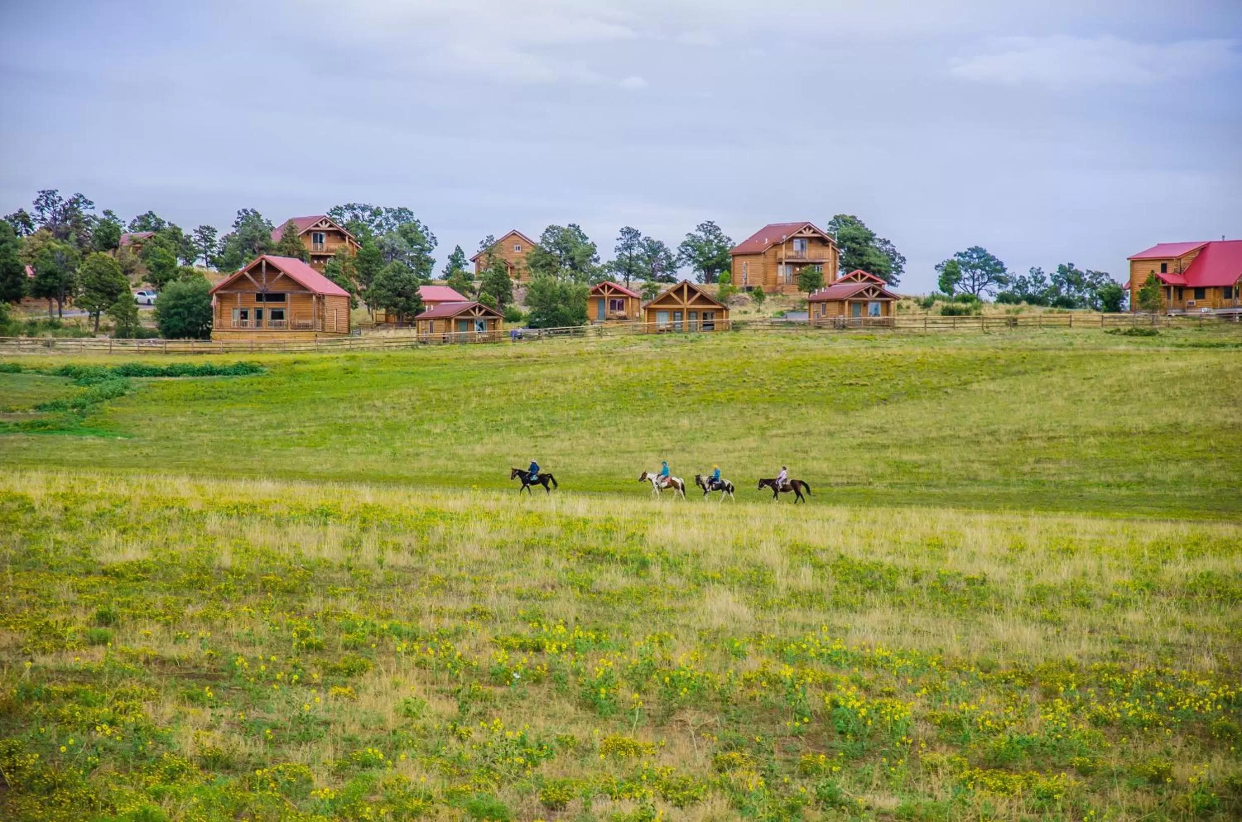 Neighbourhood in Zion Mountain Ranch