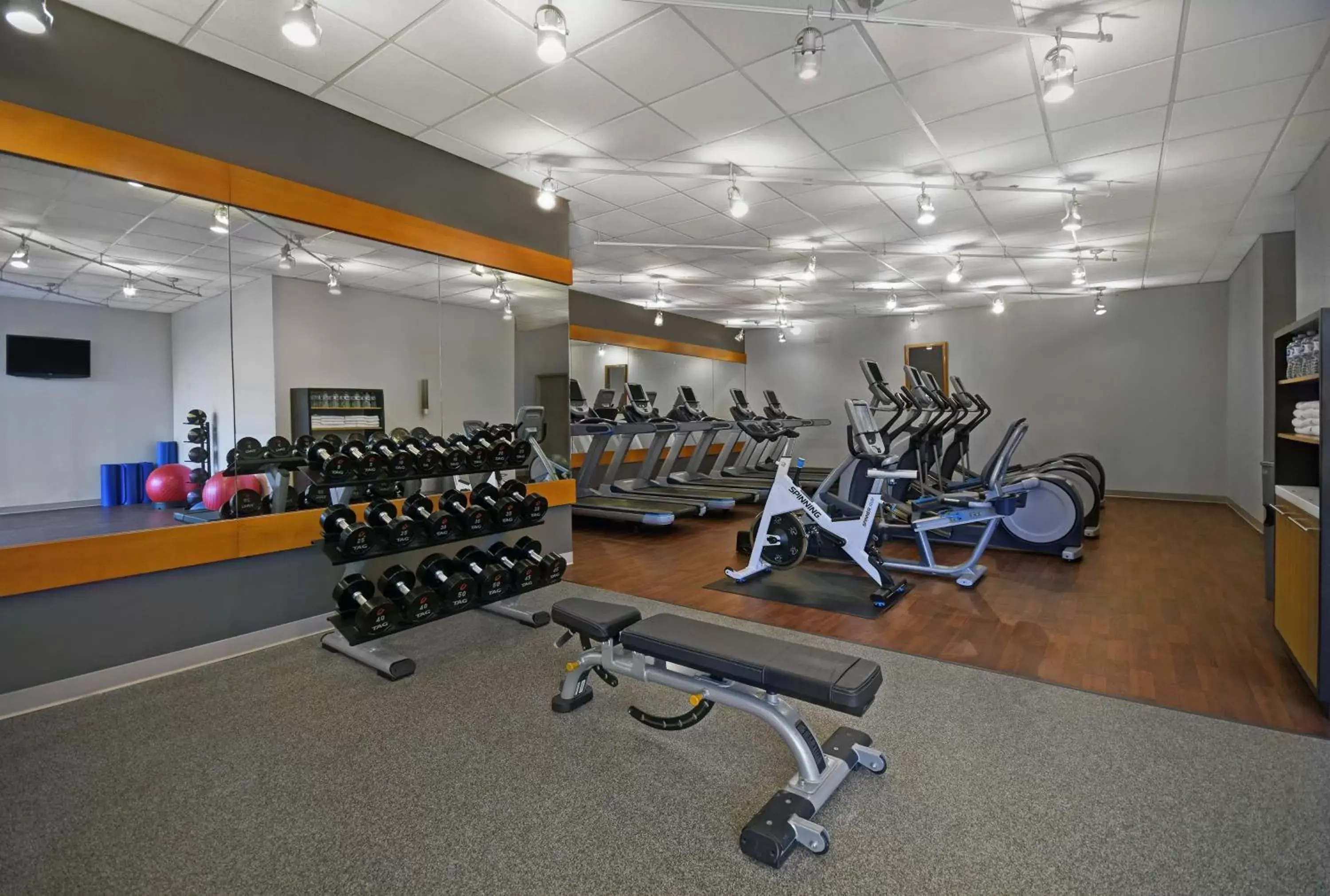 Fitness centre/facilities in Hilton Hasbrouck Heights-Meadowlands Fitness centre/facilities in Hilton Hasbrouck Heights-Meadowlands