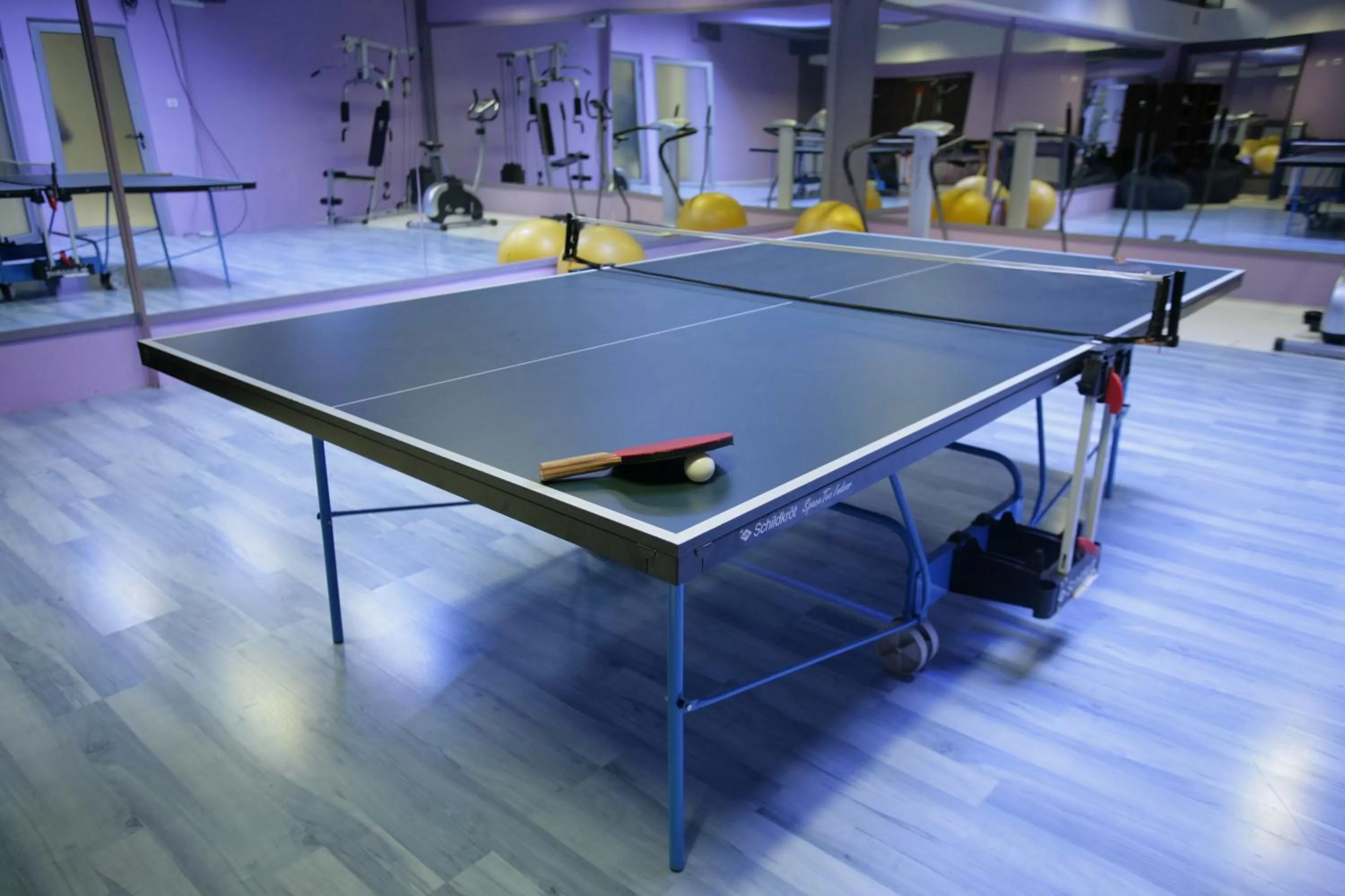 Fitness centre/facilities in Hotel Alexandar Lux