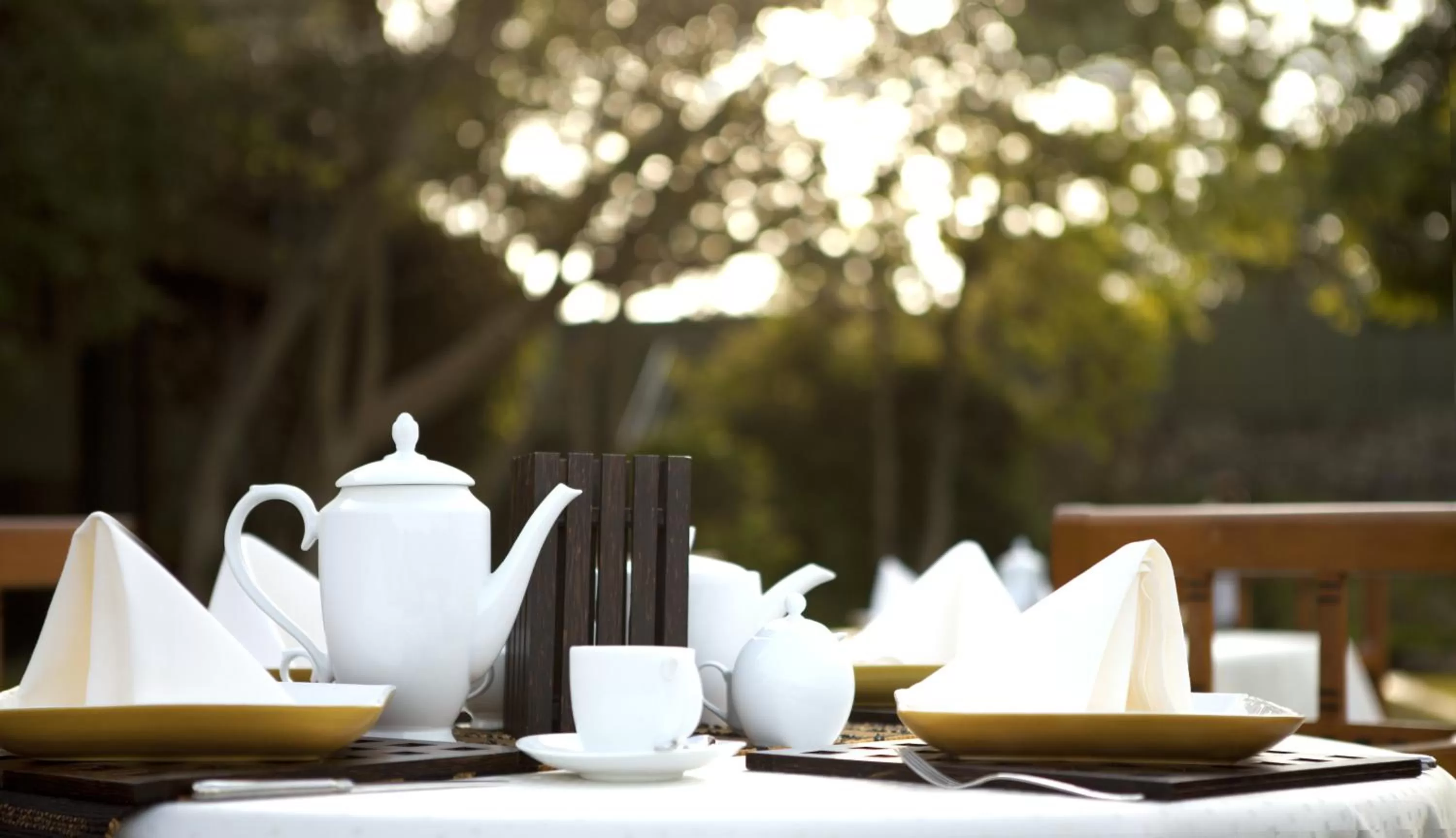 Food and drinks in Heritance Kandalama