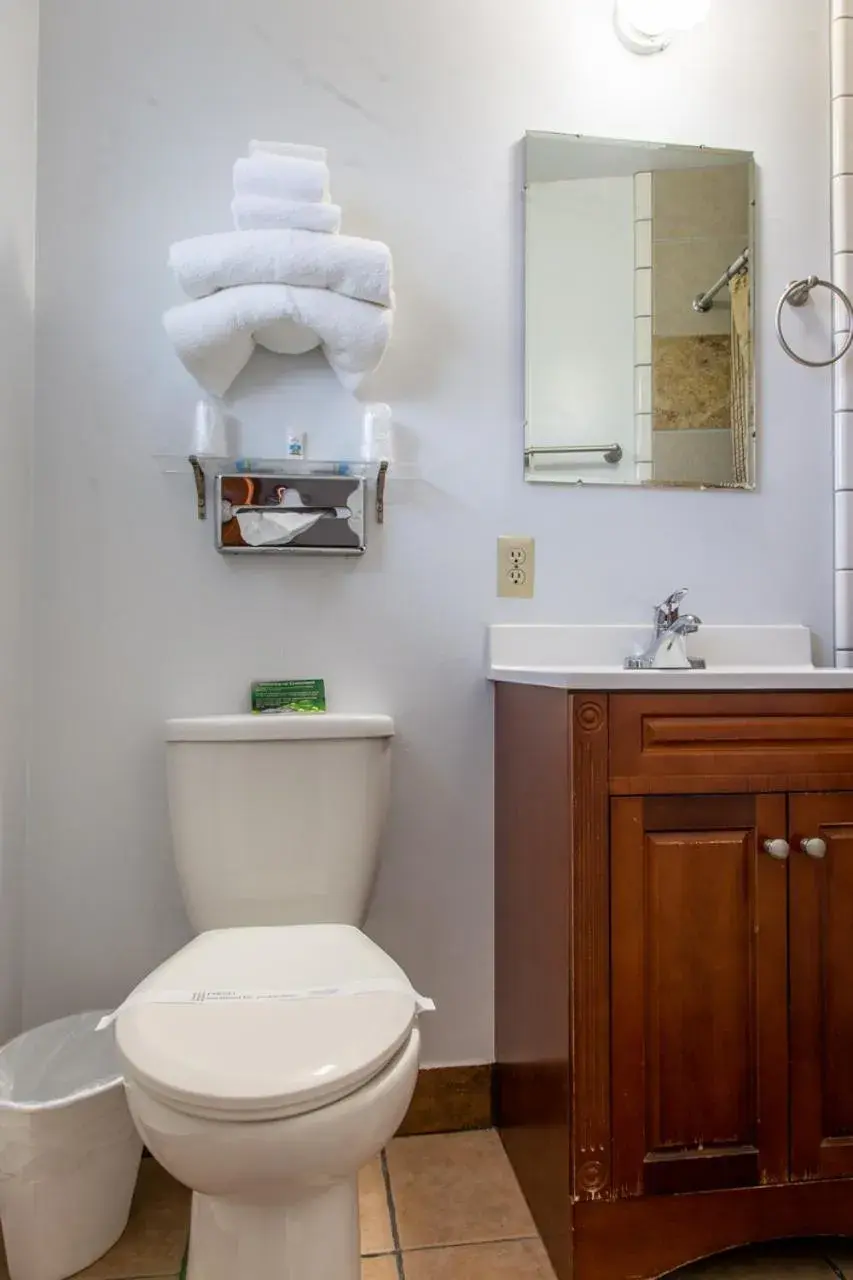 Bathroom in Swiss Holiday Lodge