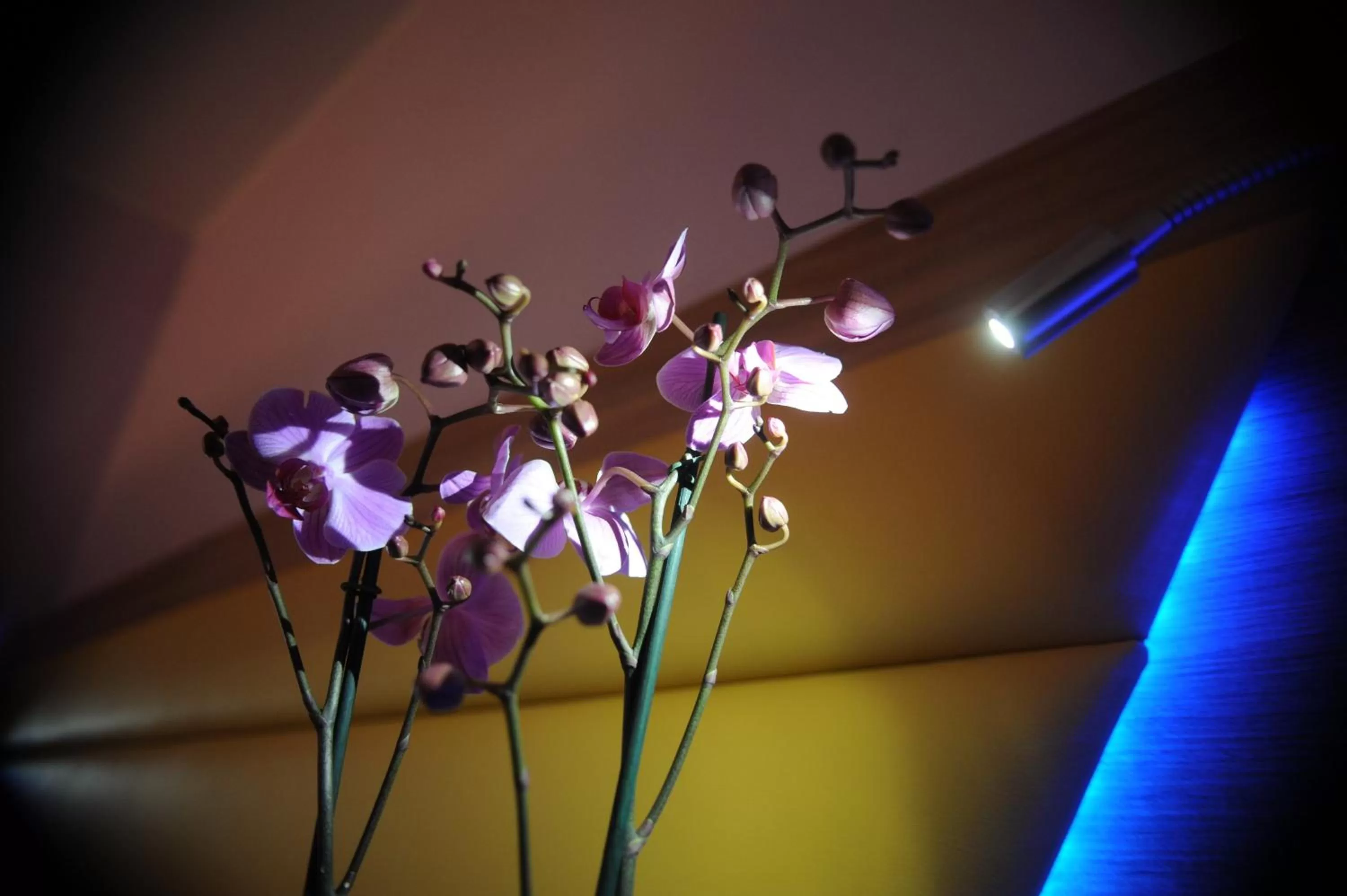 Decorative detail in Ostia Antica Suite B&B