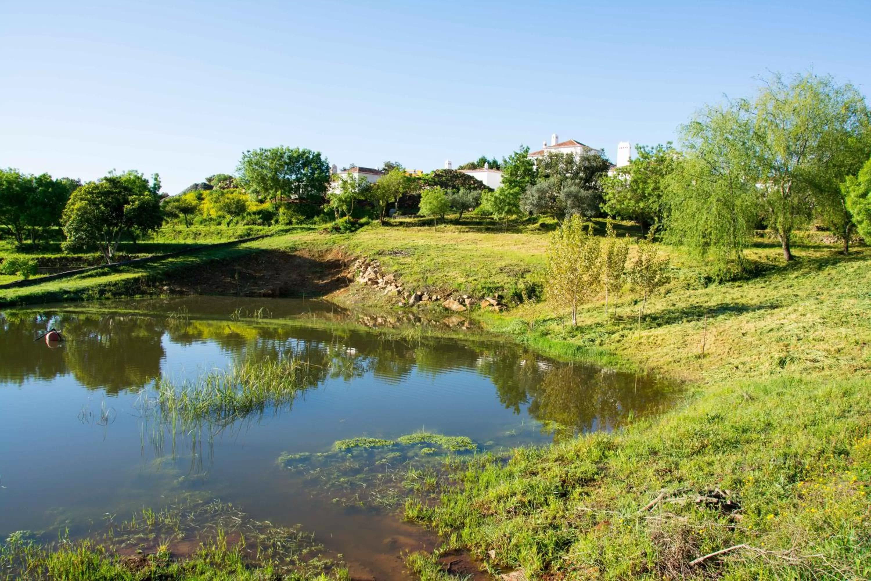 Facade/entrance in Hotel Rural Monte da Provença