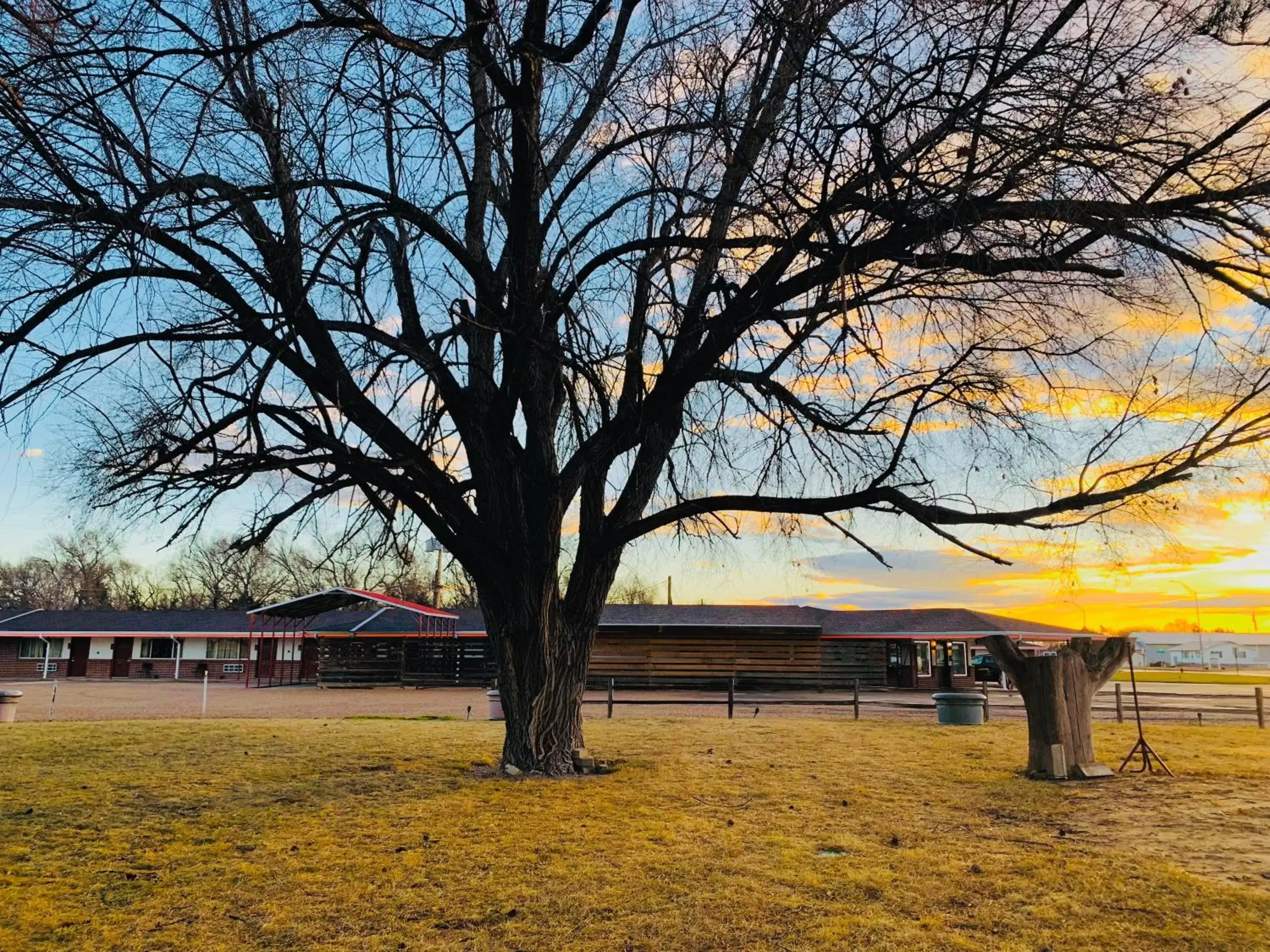 Natural landscape in Raine Motel