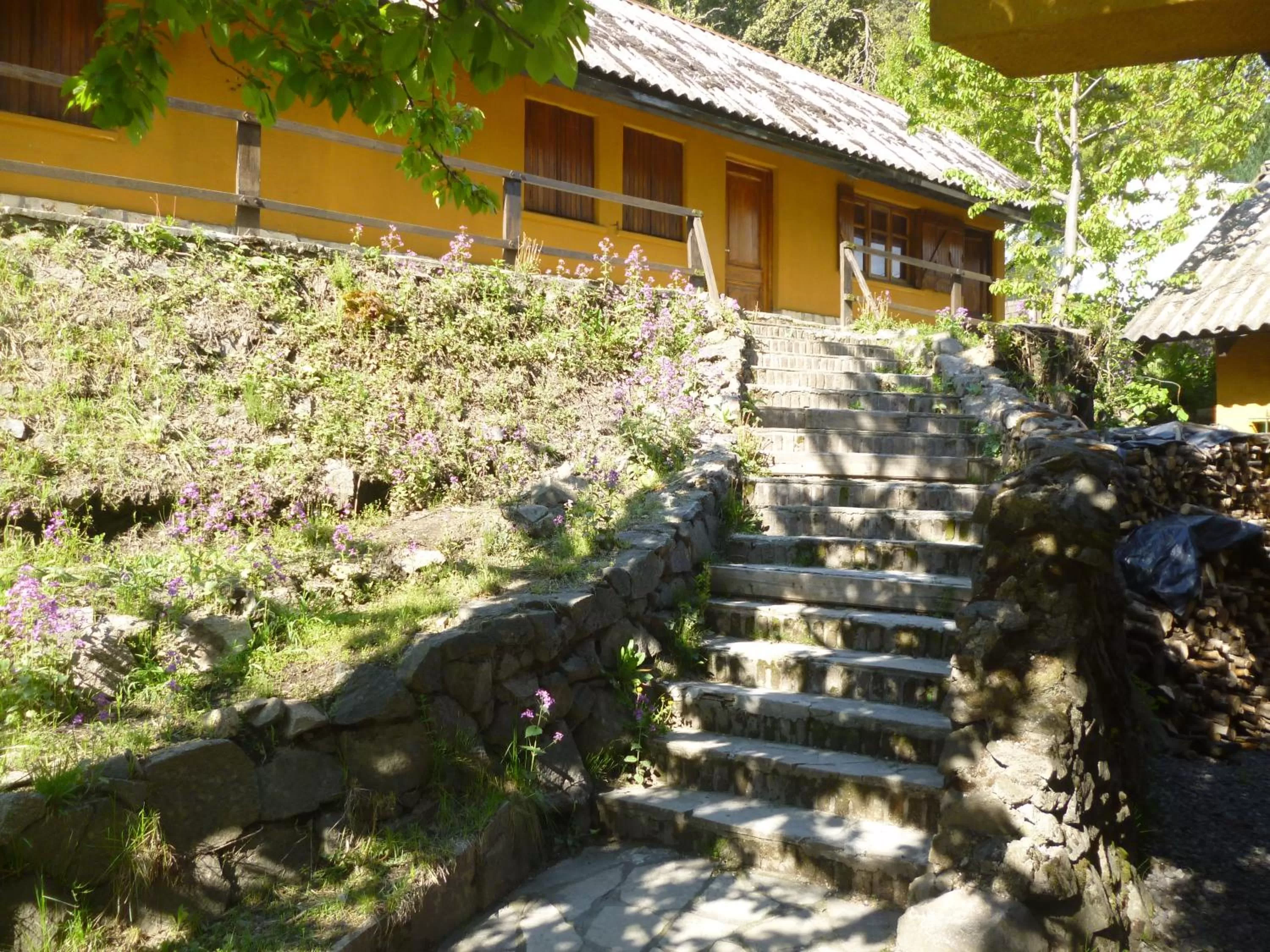 Property Building in Sacromonte