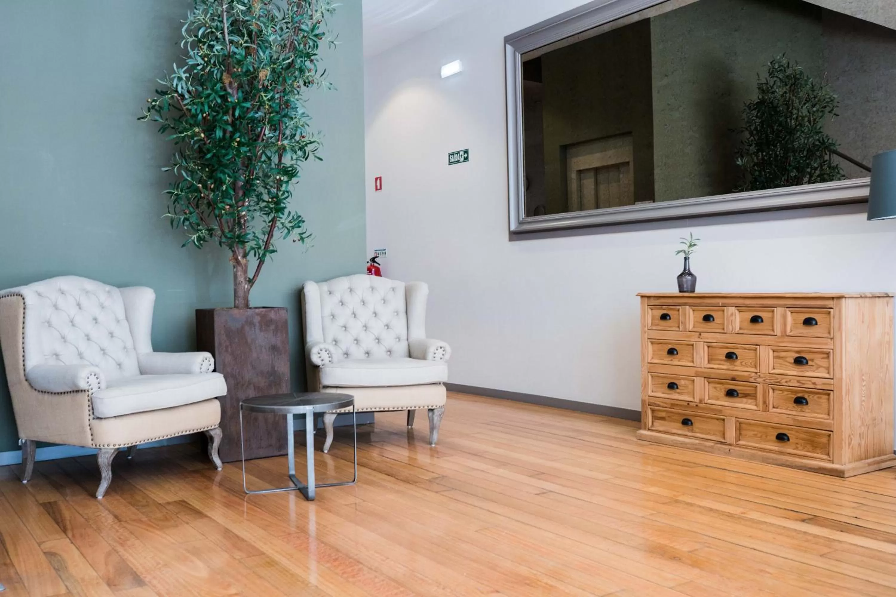 Olive Nature – Tourism Apartments