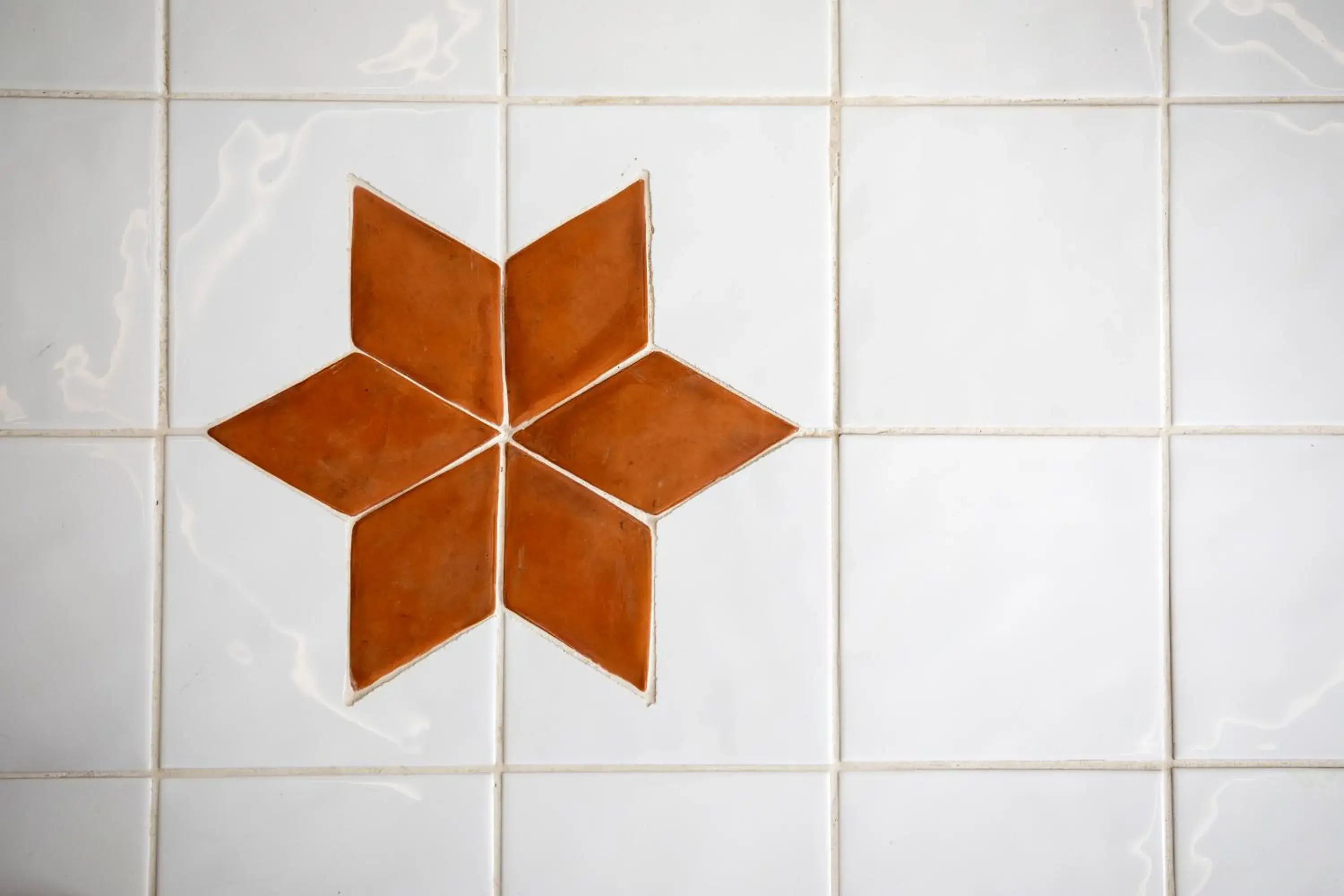 Decorative detail, Bathroom in Grand Hotel De Rose