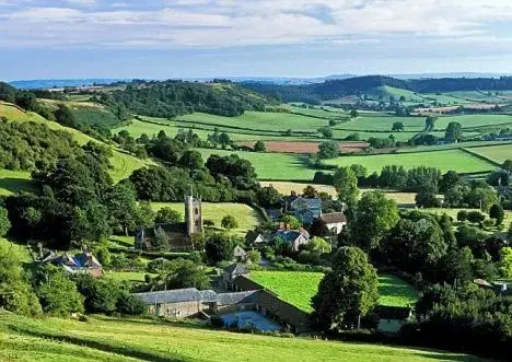 Bird's-eye View in Hornsbury Mill