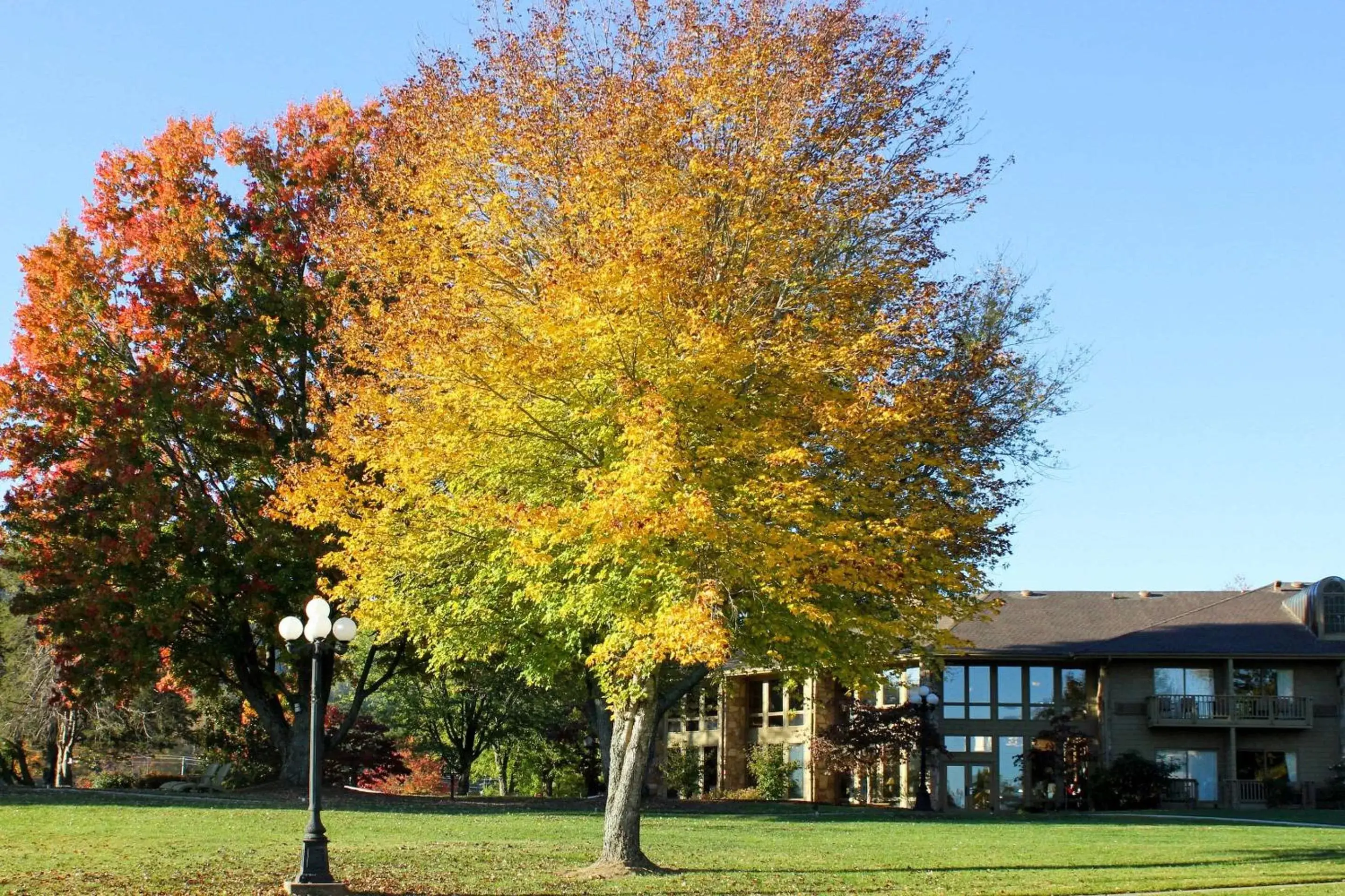 Property Building in The Ridges Resort on Lake Chatuge