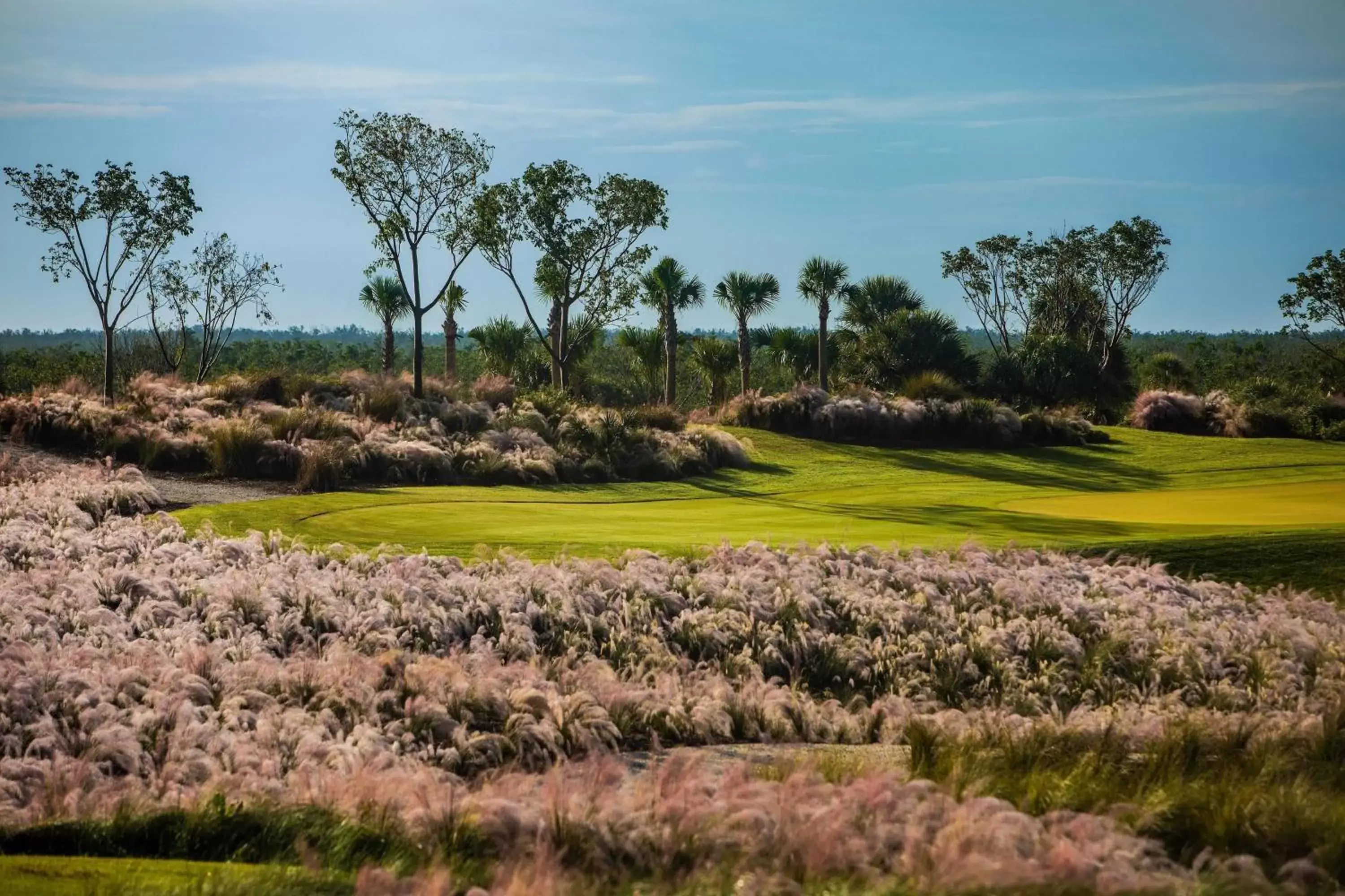 Golfcourse in JW Marriott Marco Island Beach Resort