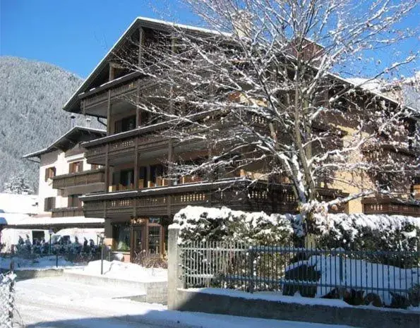 Property building, Winter in Hotel Binelli