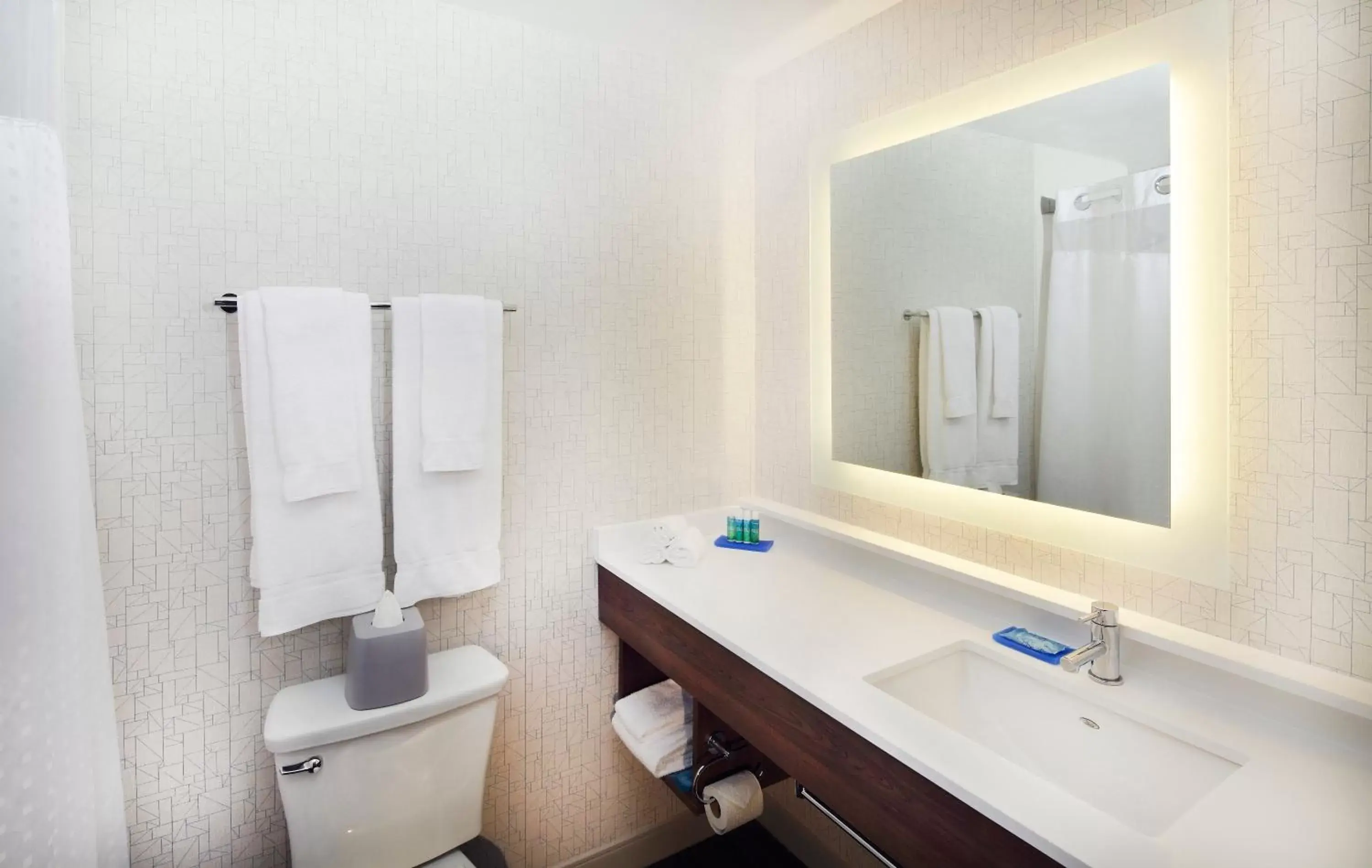 Bathroom in Holiday Inn Express Hotel & Suites Fisherman's Wharf, an IHG Hotel