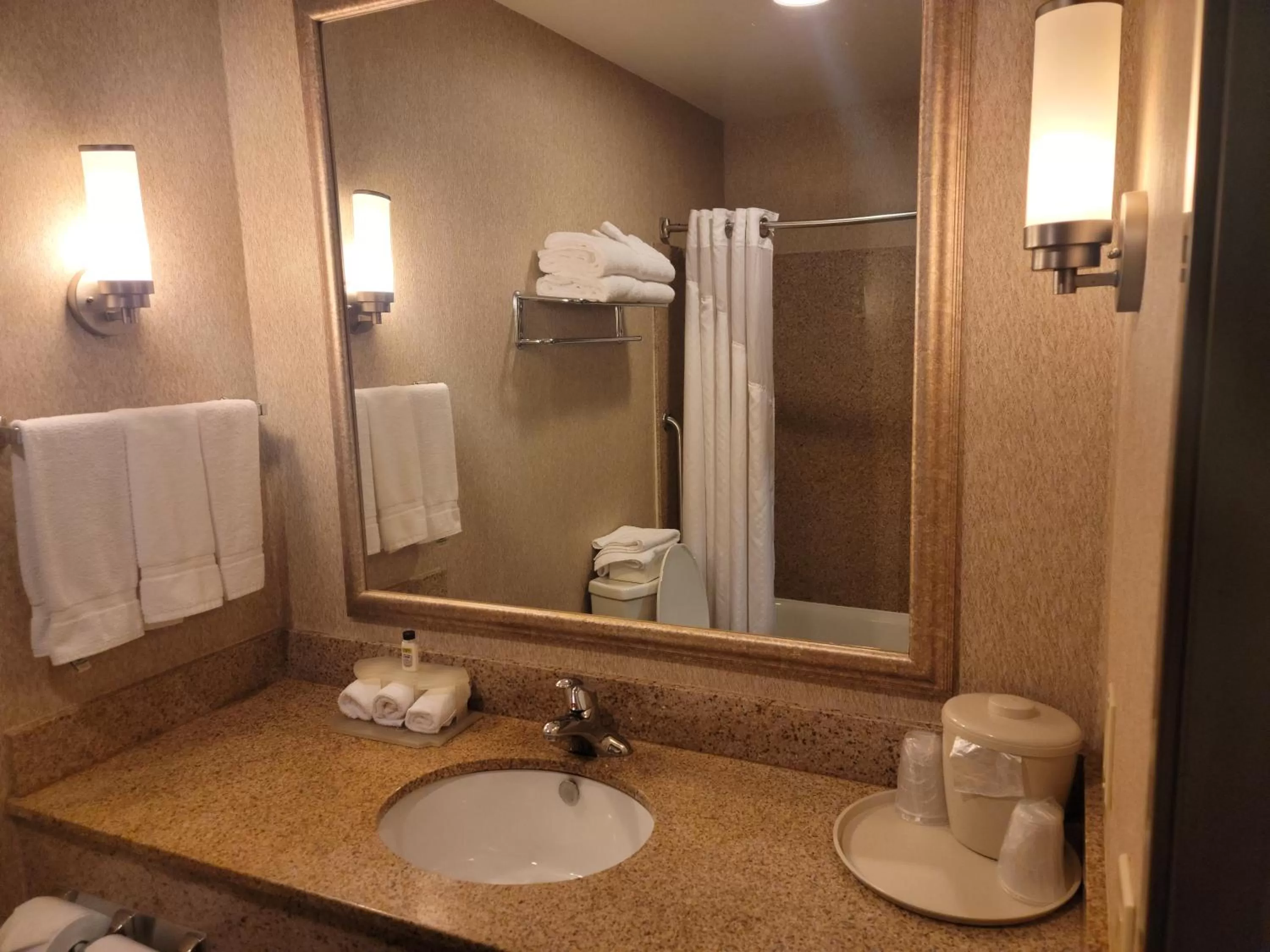 Deluxe King Room with Bath Tub - Disability Access in Holiday Inn Express San Diego South - Chula Vista, an IHG Hotel
