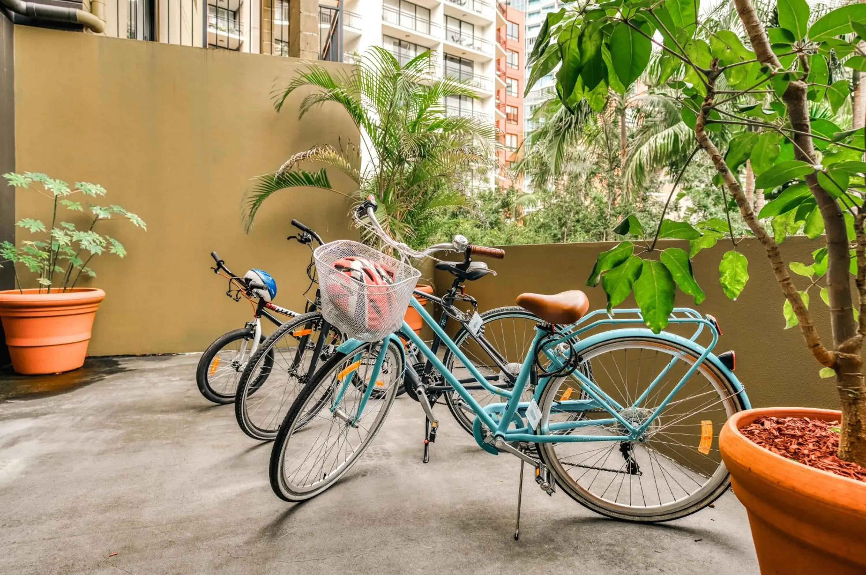 Activities, Biking in Il Mondo Boutique Hotel