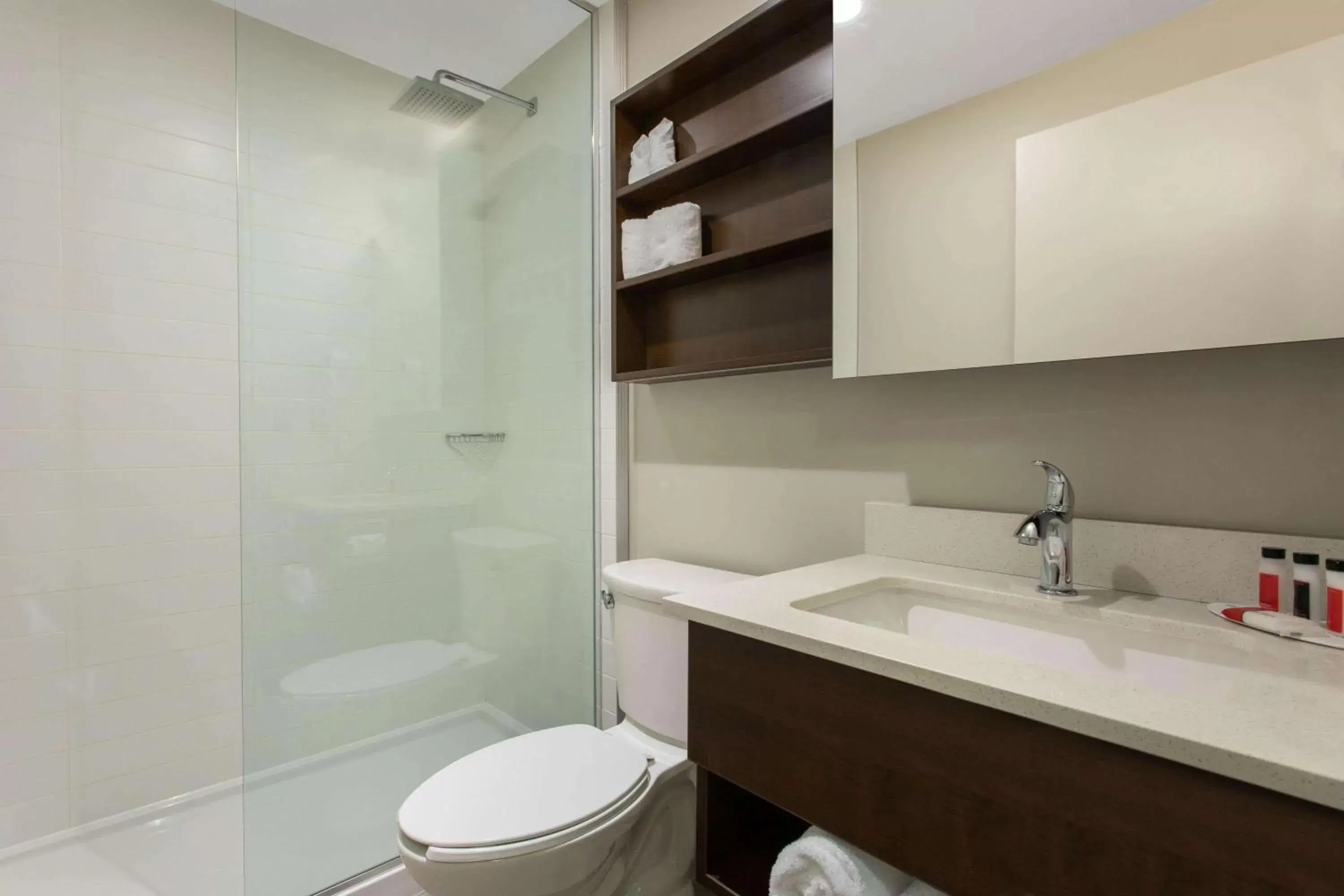 Bathroom in Microtel Inn & Suites by Wyndham Mont Tremblant