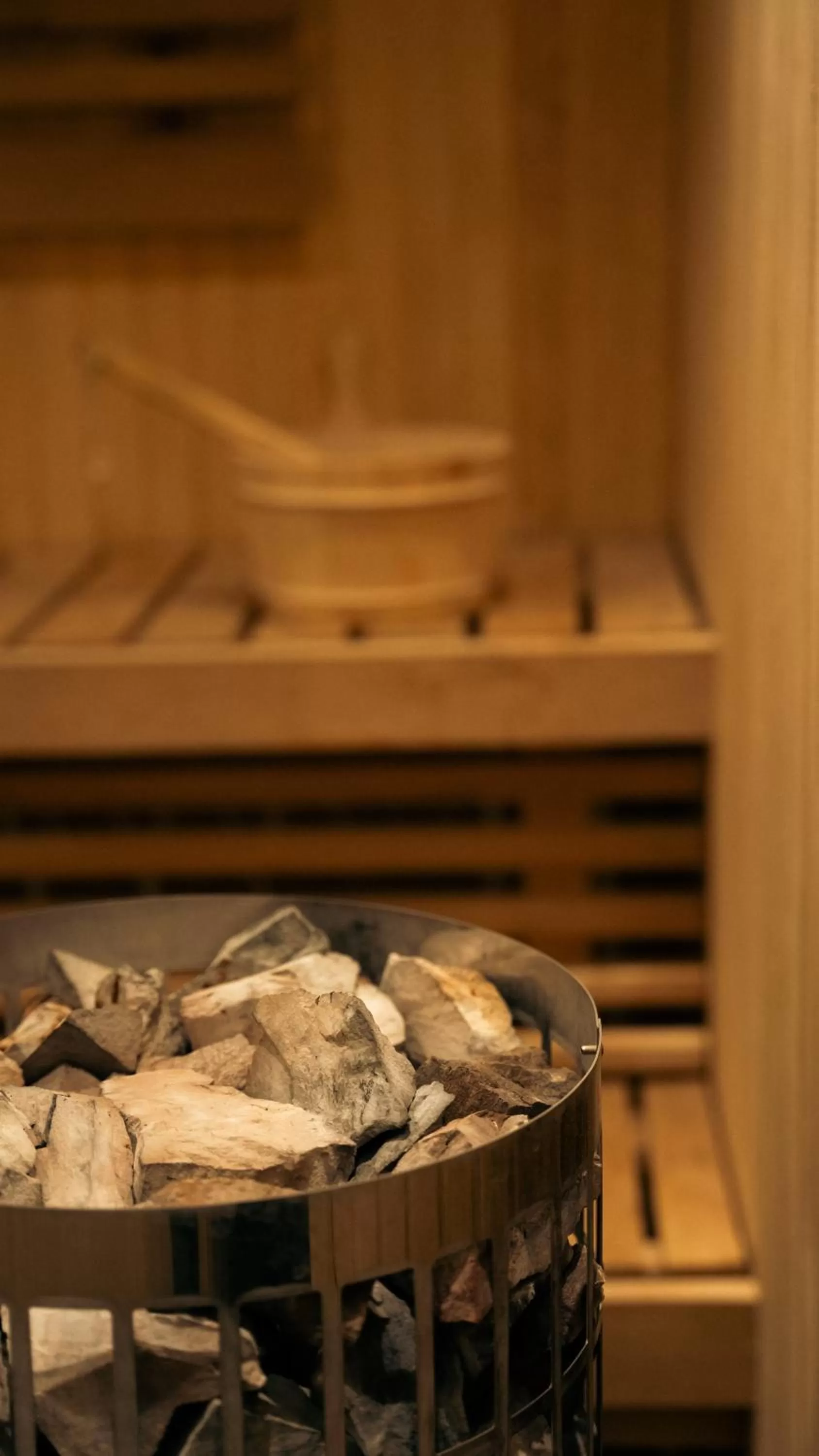 Sauna in Hotel GUESTapart