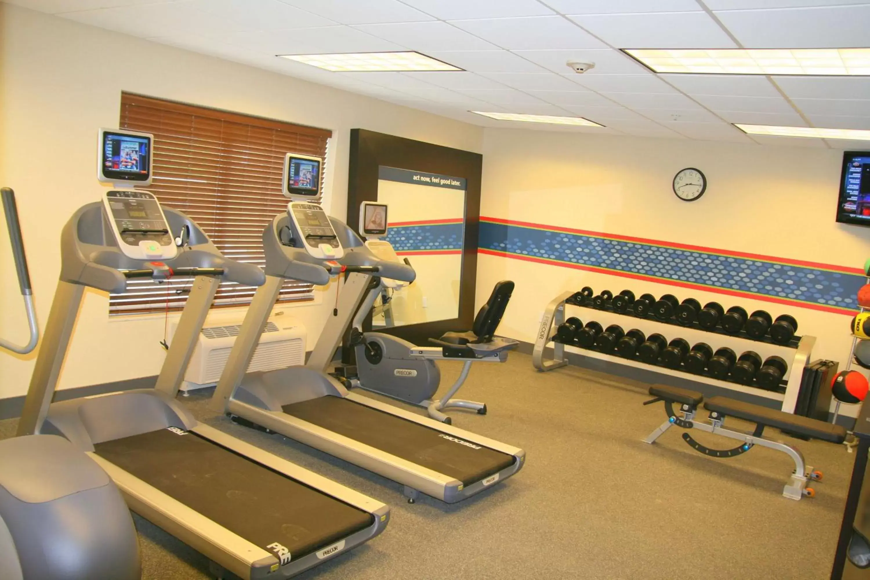 Fitness centre/facilities, Fitness Center/Facilities in Hampton Inn Anderson/Alliance Business Park
