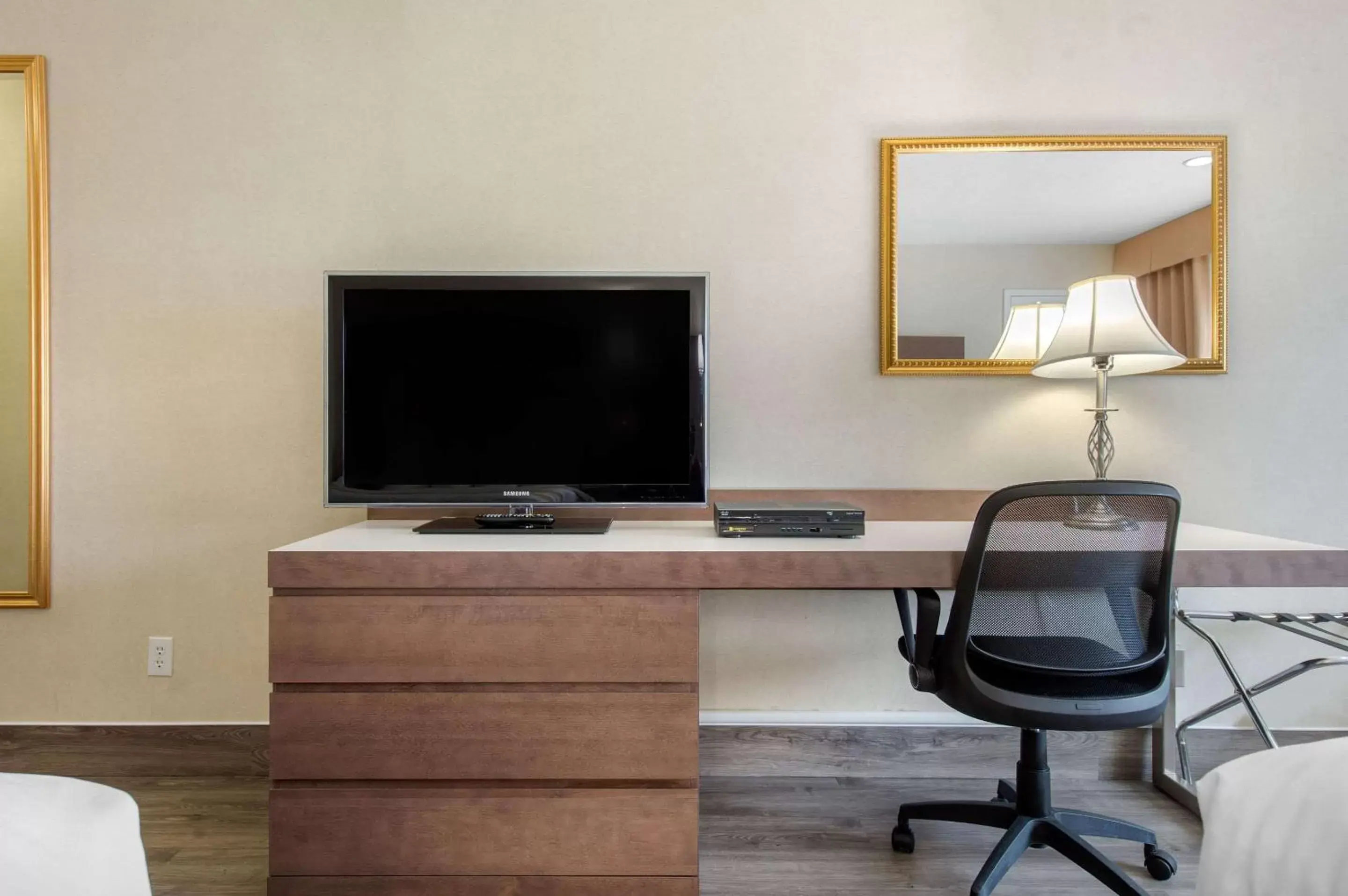 TV and multimedia, TV/Entertainment Center in Quality Inn & Suites & Conference Centre - Gatineau